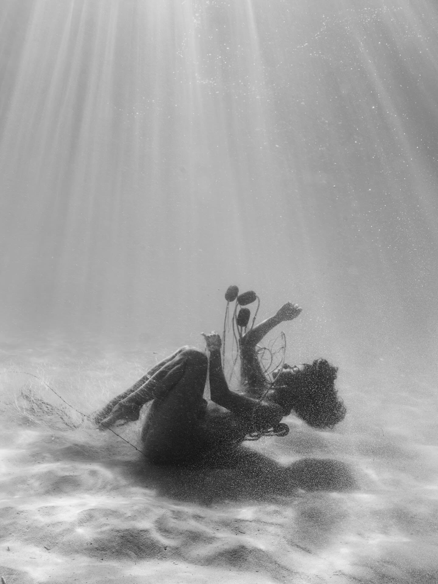 &bull; Action Breeds Action &bull; 

To those who live by a belief system &ldquo;but what difference can I make&rdquo;, or &ldquo;why should I try when no one else does&rdquo;. I challenge that narrative as I believe this &ldquo;other&rdquo; mentalit