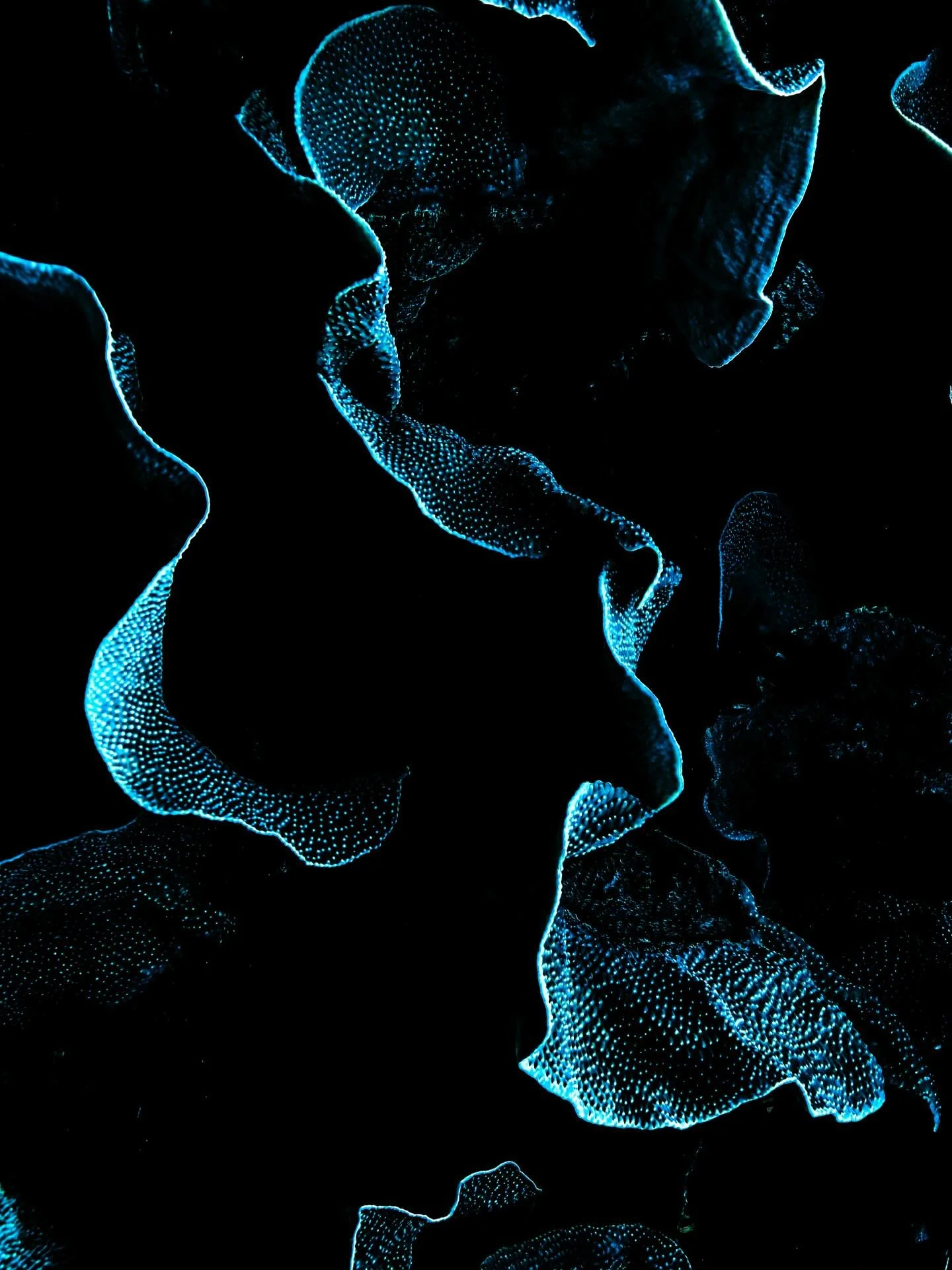 &bull; The Ripple Effect &bull; 

New exhibition seeds are being planted this week, and one of these images is in the collection. Any ideas what this immersion is going to be like? 

I&rsquo;ll give you a clue - it&rsquo;s going to be moody and full 