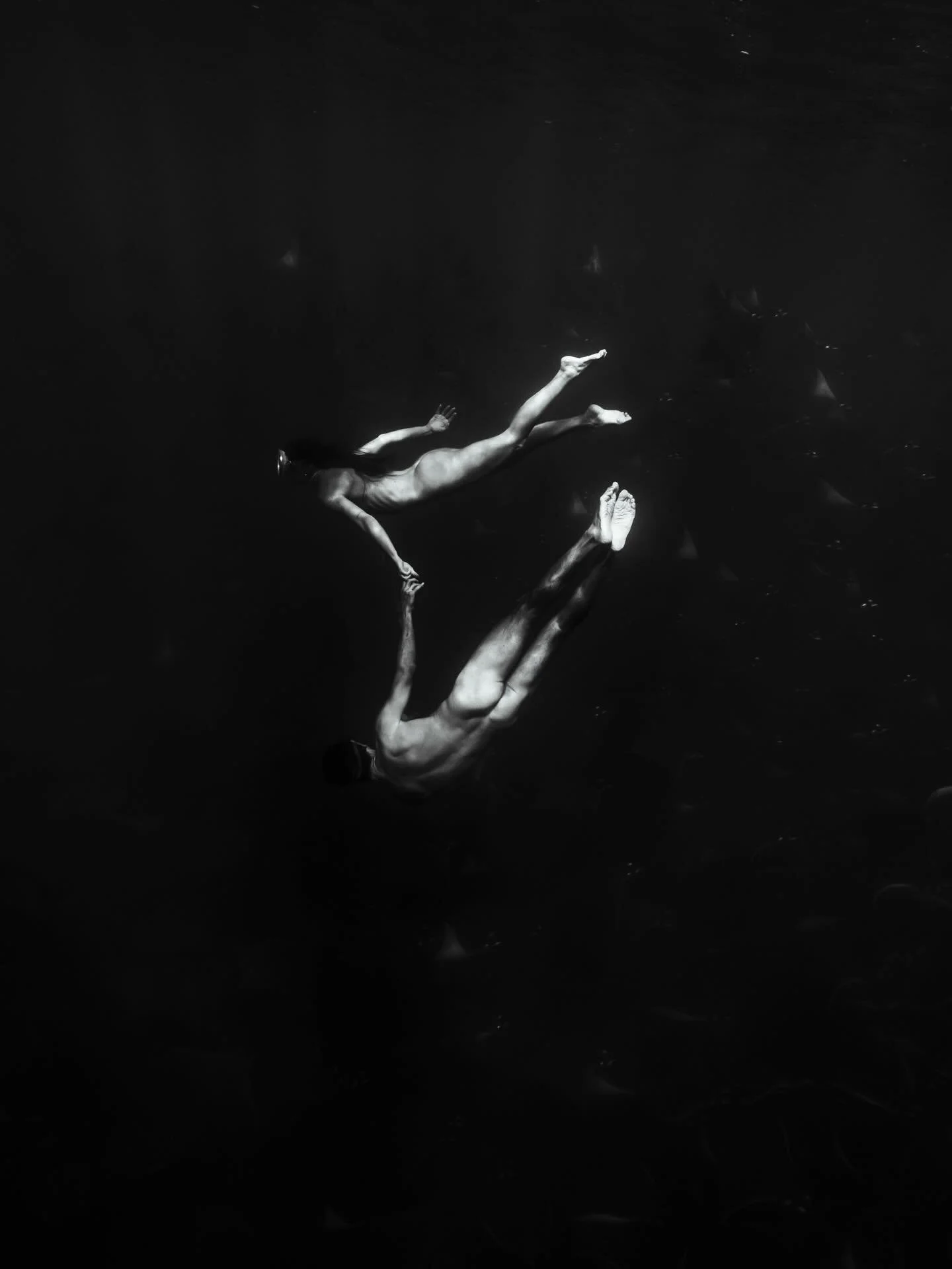 &bull; The Duet &bull; 

It&rsquo;s hard enough to find flow with one model sometimes, let alone multiple muses. But these two move as if one, an effortless duet with an unspoken script of graceful movements that lies between them. 

Every frame is a