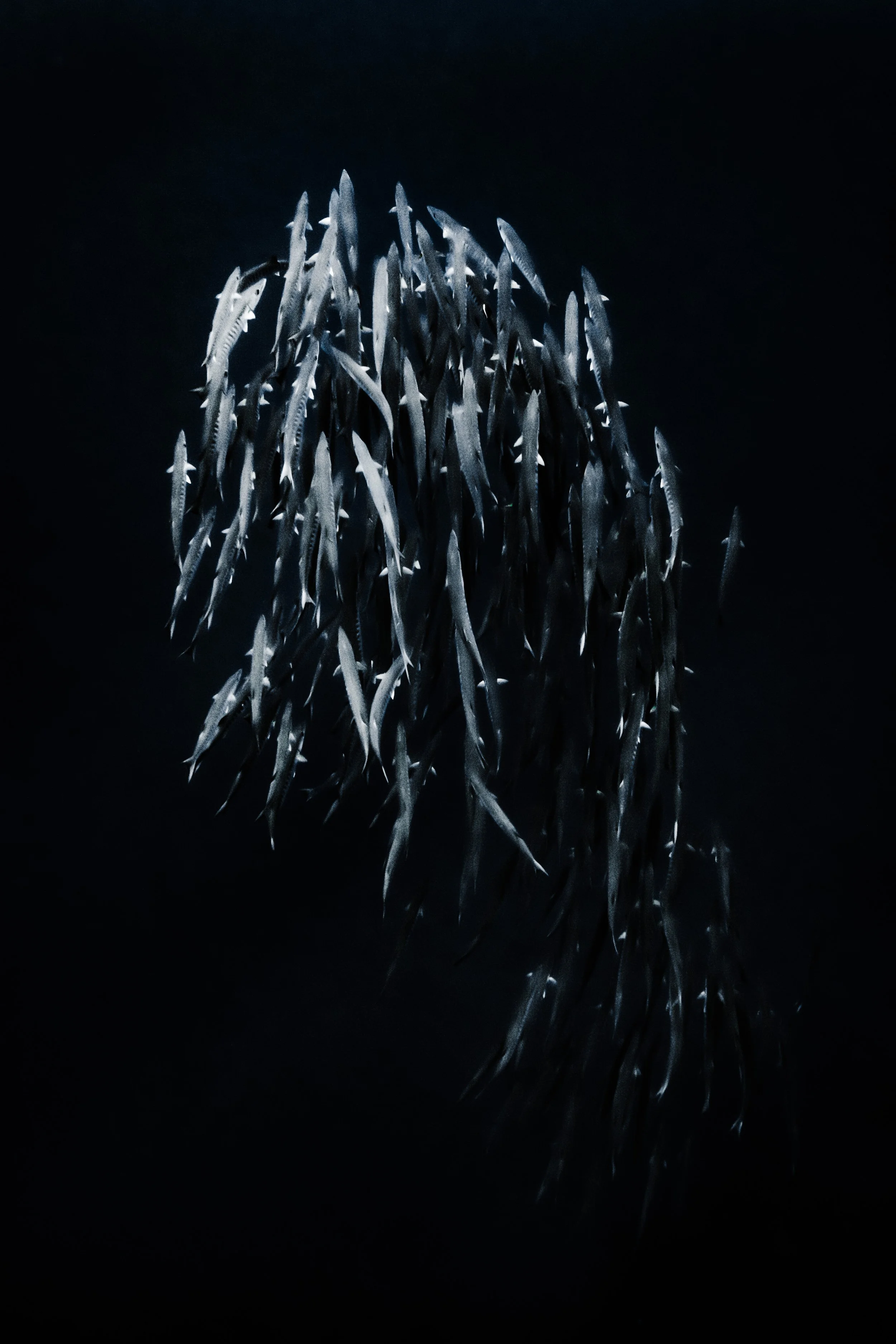 the ripple effect exhibition-13.jpg