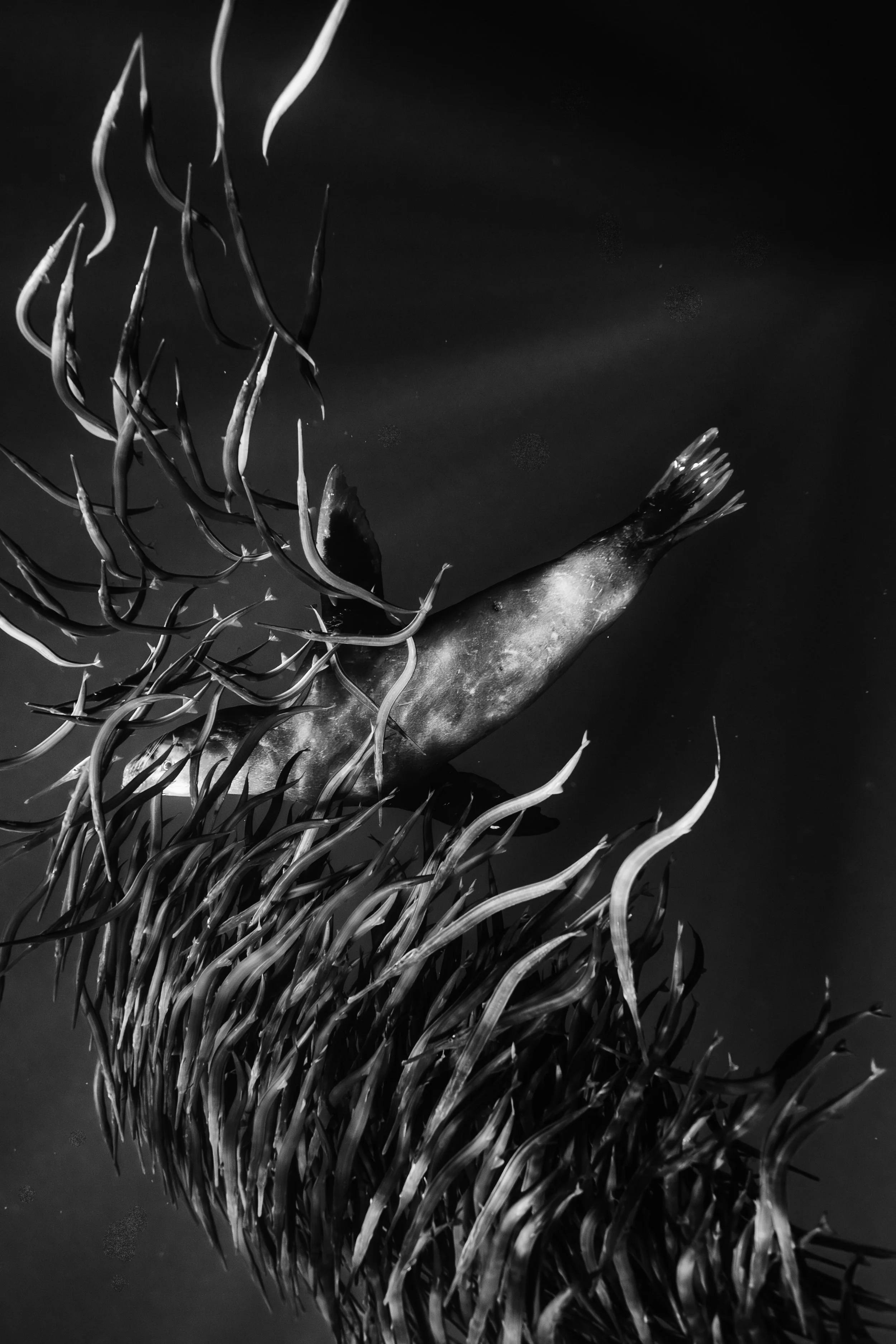 parley revisit-8.jpg