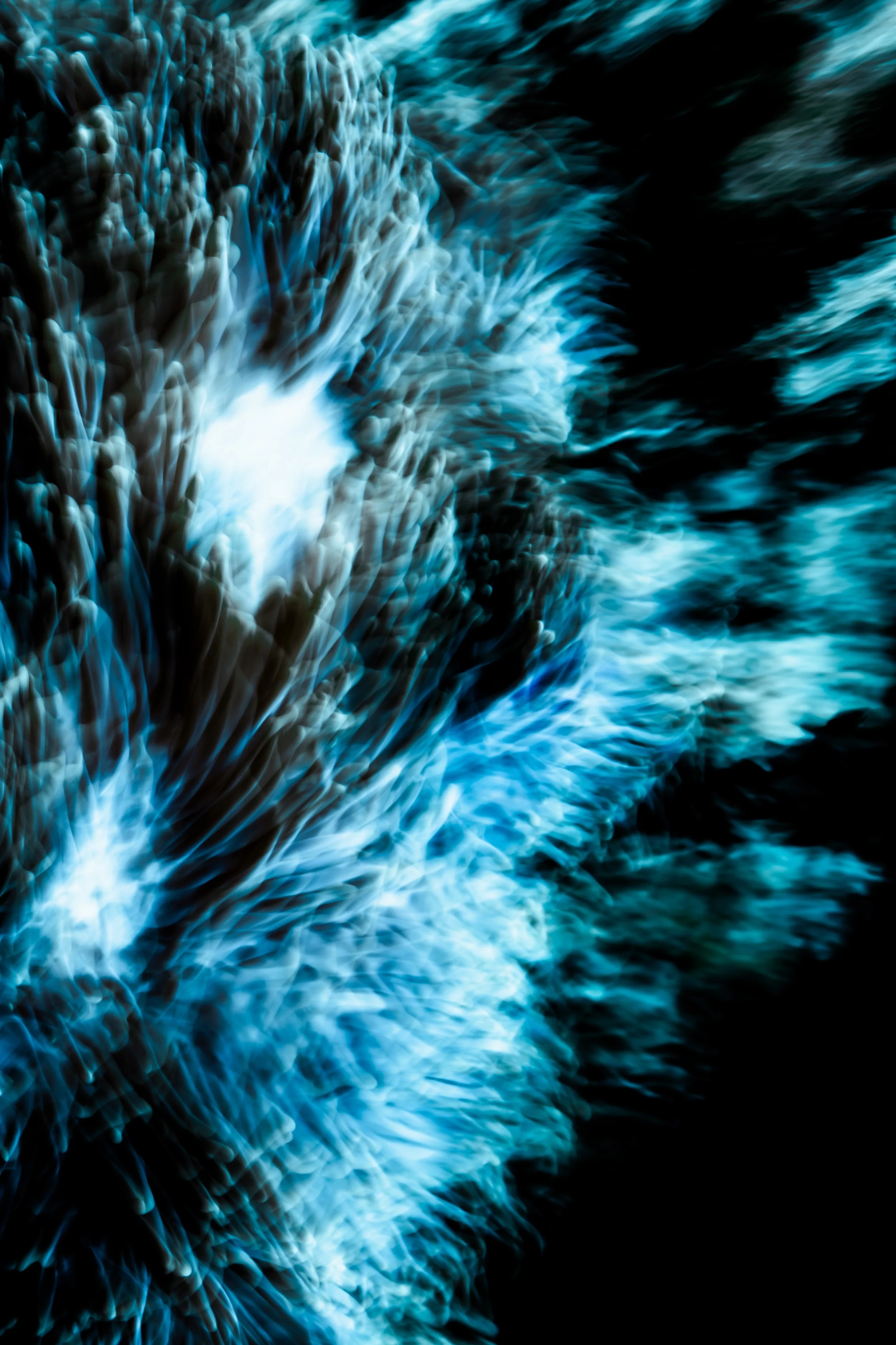 the ripple effect exhibition-7.jpg