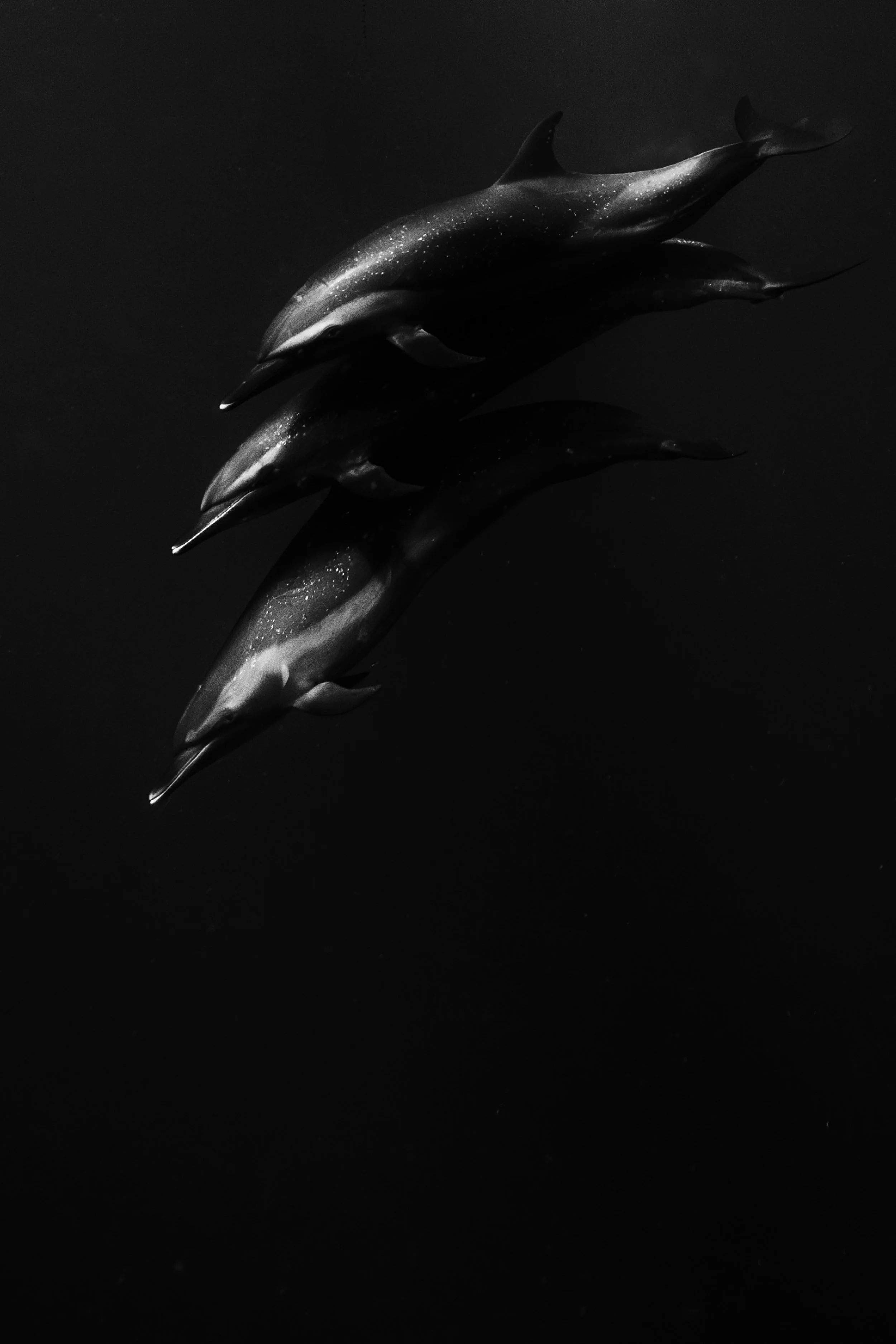 parley revisit-15.jpg