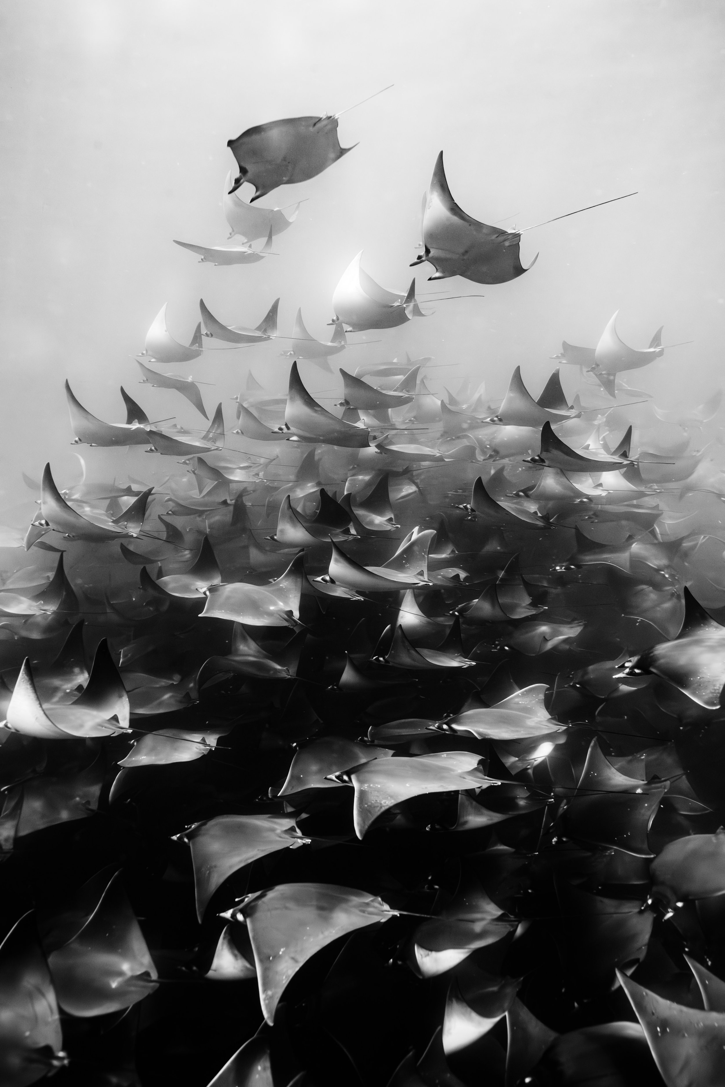 parley revisit-13.jpg