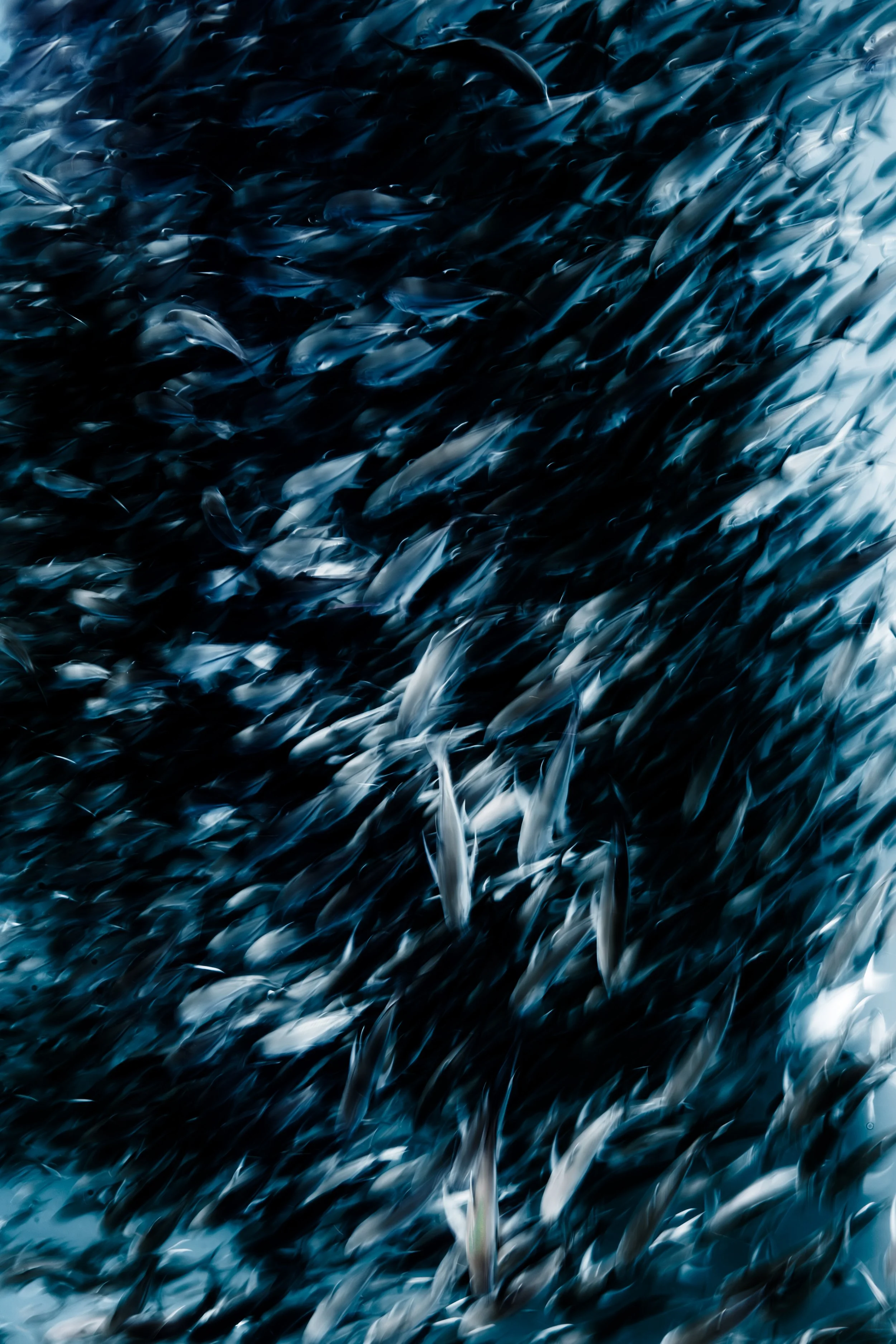the ripple effect exhibition-4.jpg