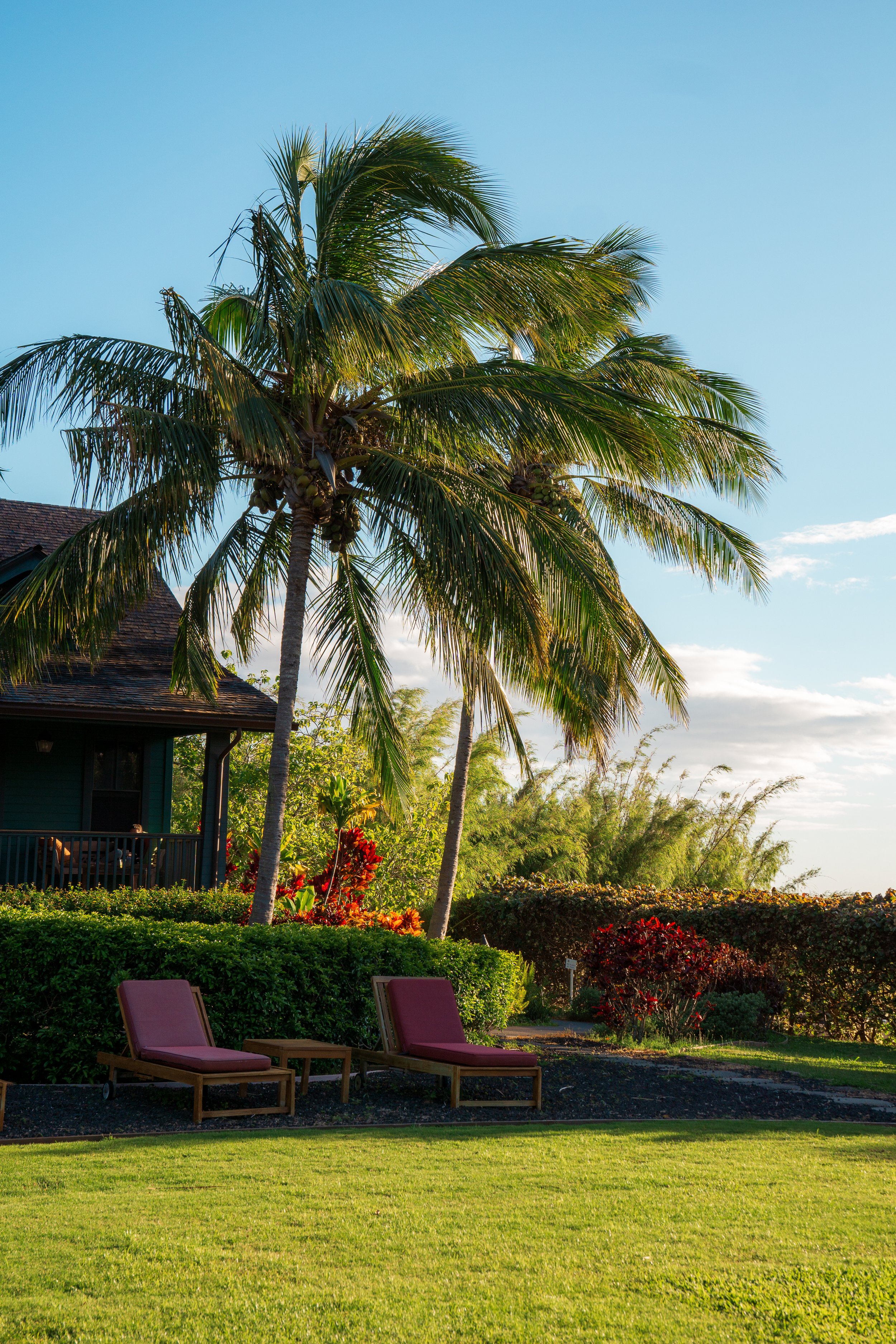 Lumeria Maui Resize - Cassie Hayes Photo-10.jpg