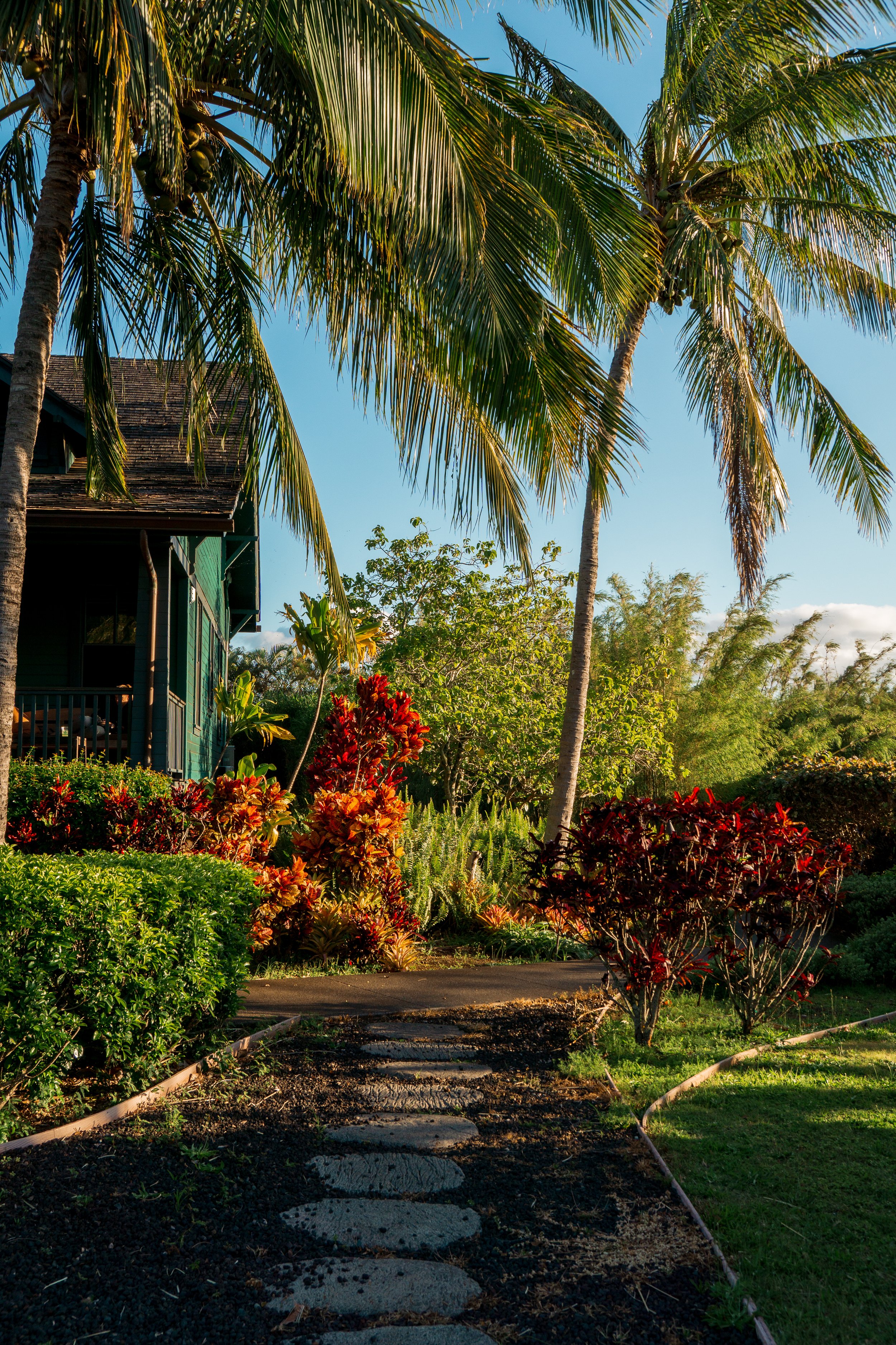 Lumeria Maui Resize - Cassie Hayes Photo-03.jpg