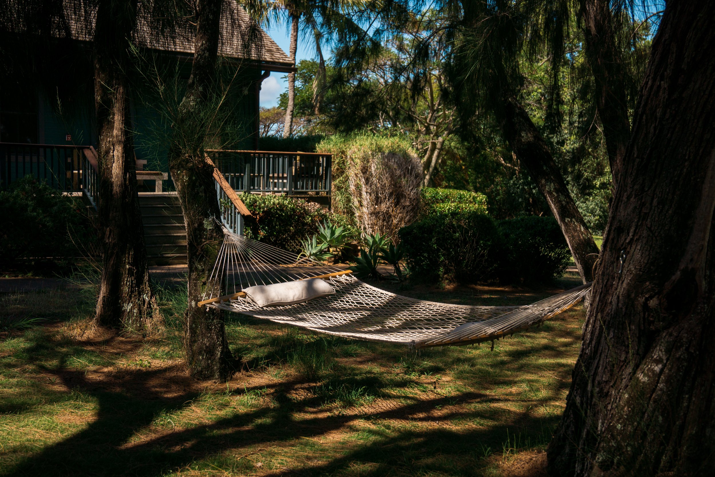 Lumeria Maui Resize - Cassie Hayes Photo-02.jpg