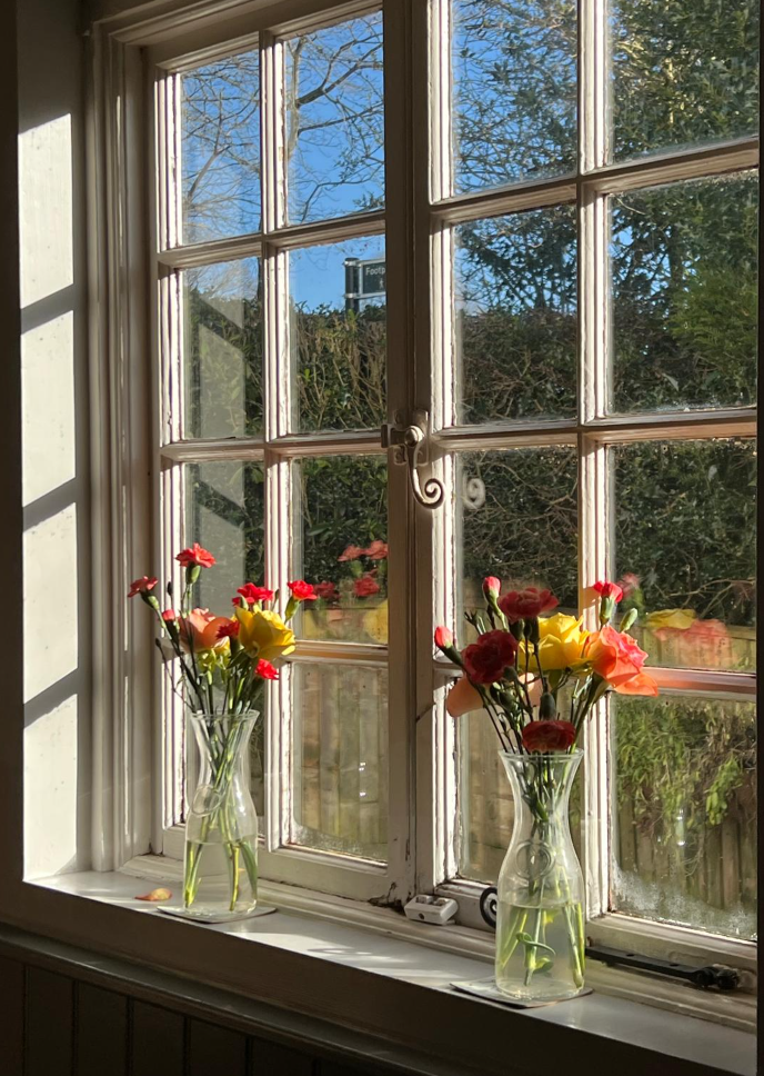 Screenshot 2026-03-03 at 11.18.55.png