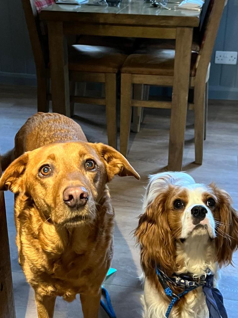 Screenshot 2026-03-03 at 11.19.02.png