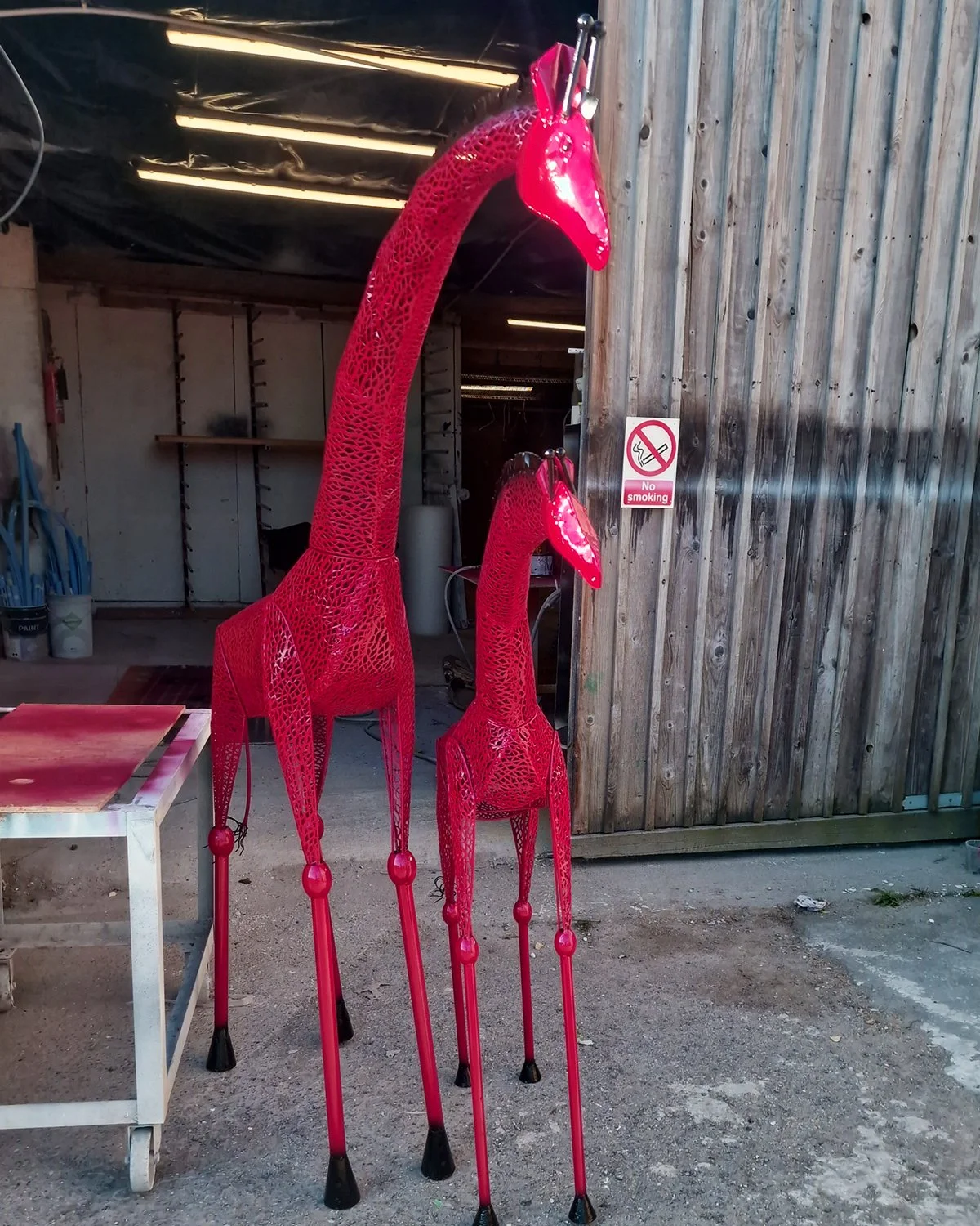 Giraffes 4.jpg