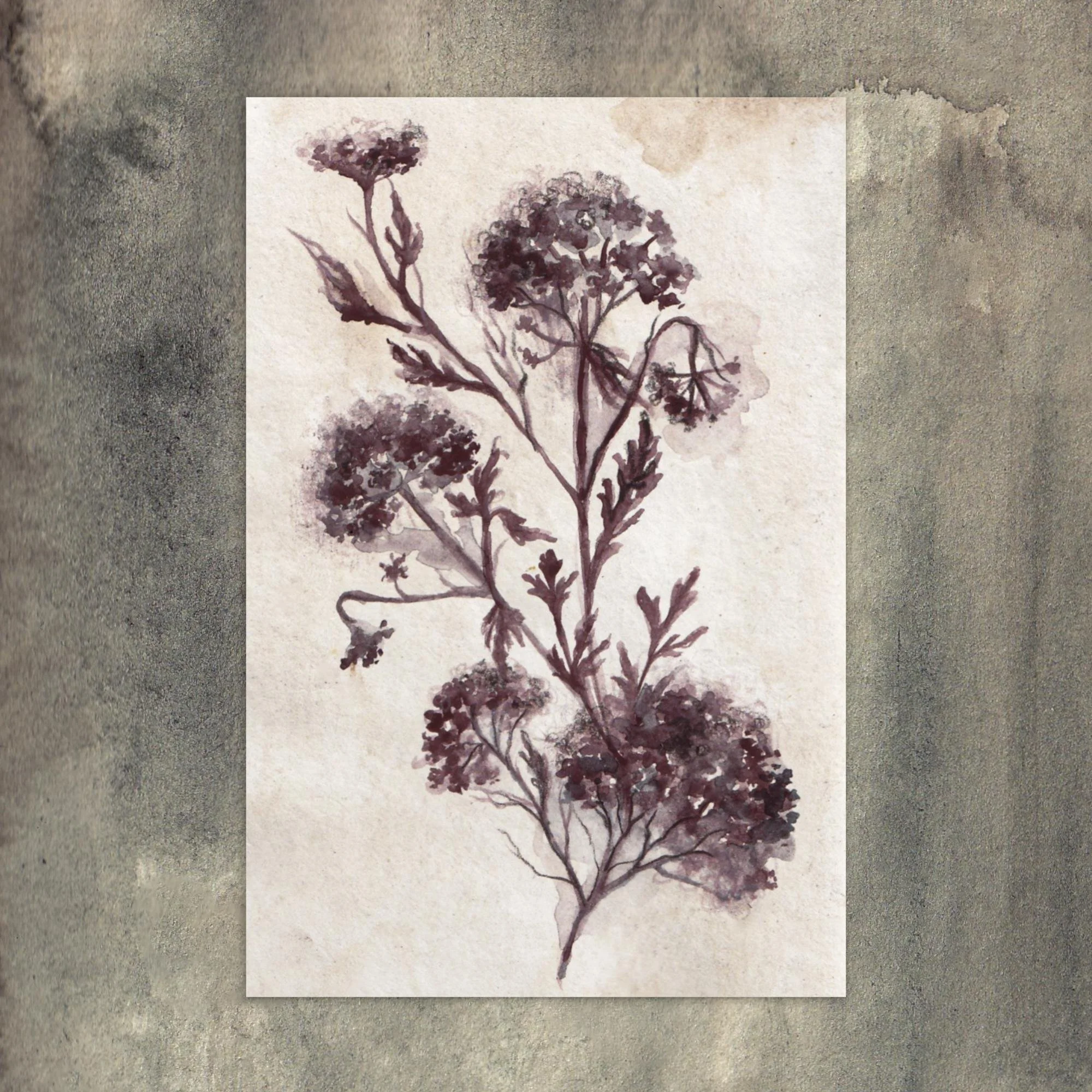 Caput Mortuum Florals - Postcard print