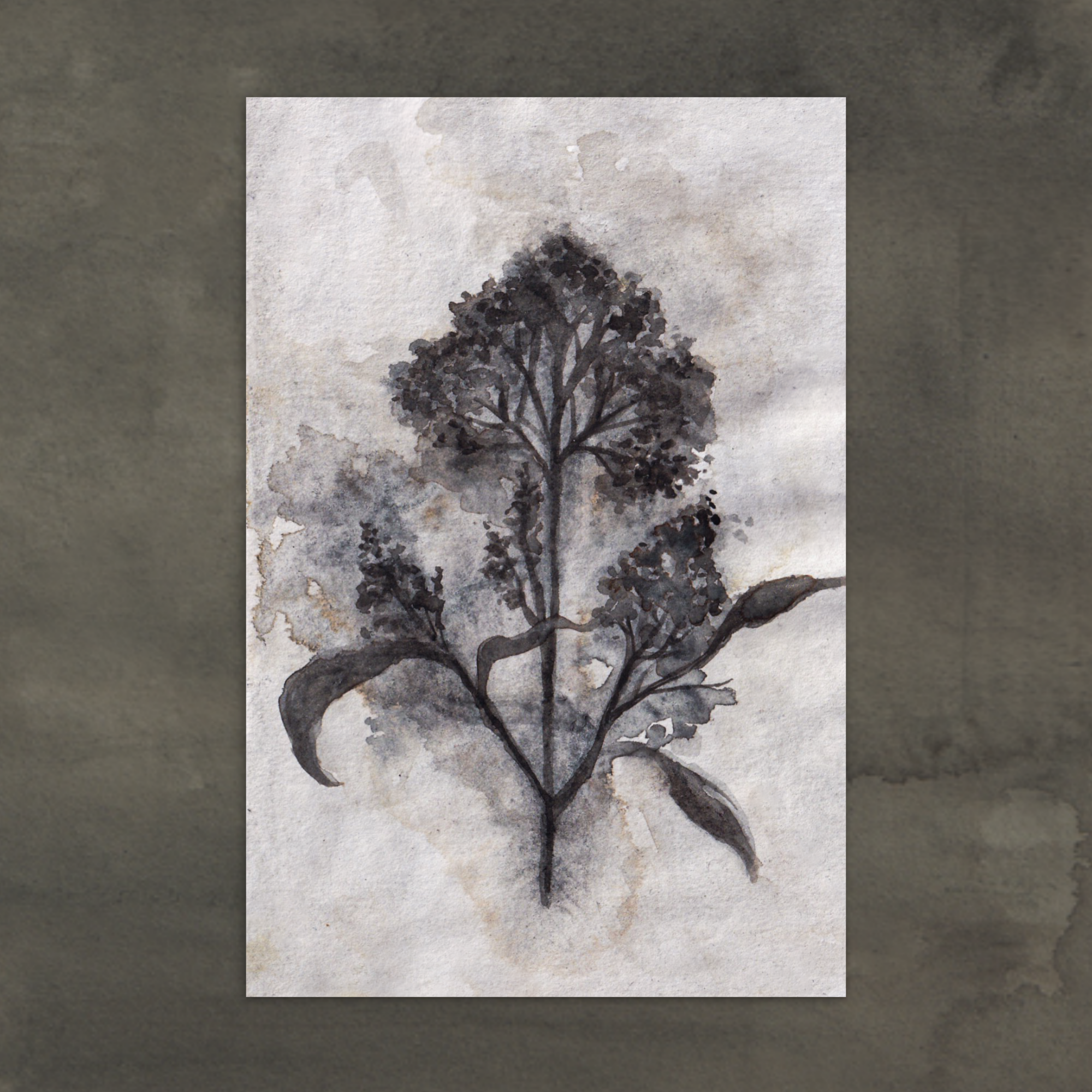 Watercolour floral painting  with detailed leaves, on textured paper. The dominant colour is "forest grey". Moody, muted tones.
