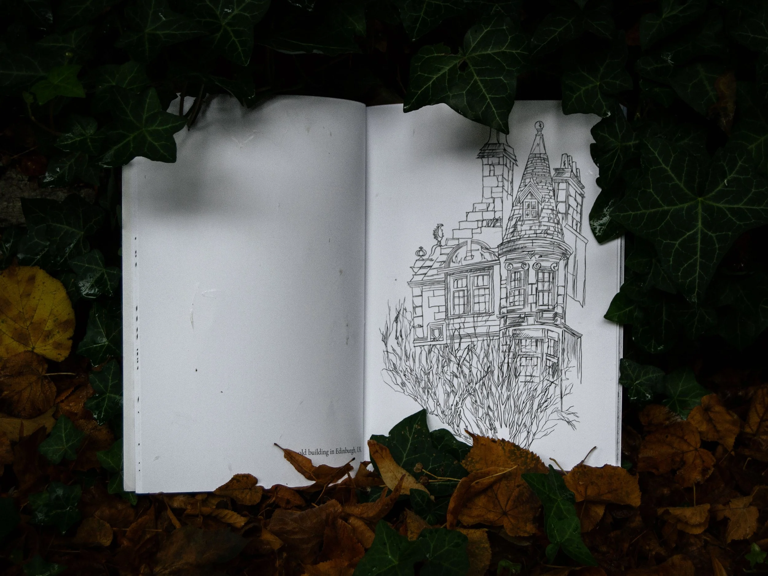 gothic architecture colouring book. Mindfulness through British landmarks. Medieval castles, churches, ruins.