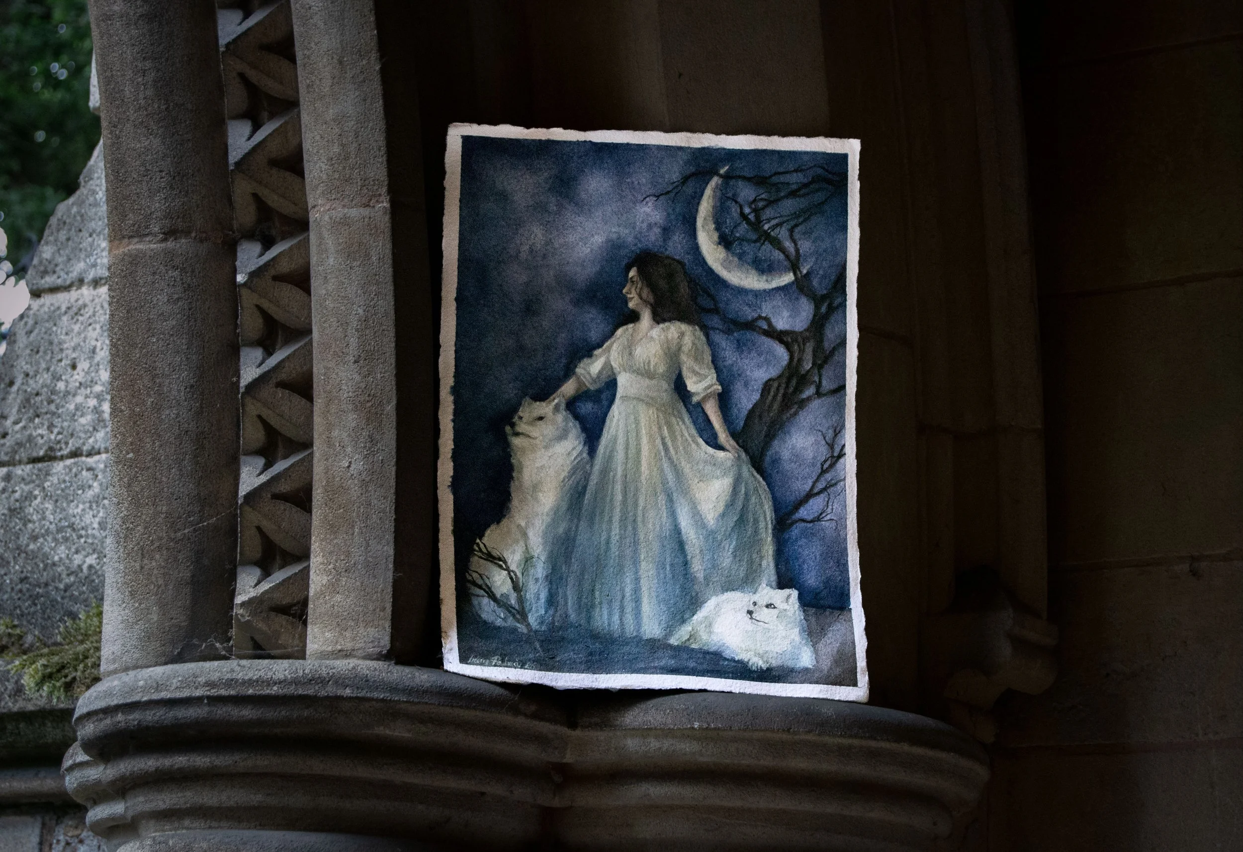 Watercolour painting of a winter Queen dressed in white with an arctic wolf and arctic fox. Nightscape, with Moon and dead tree.