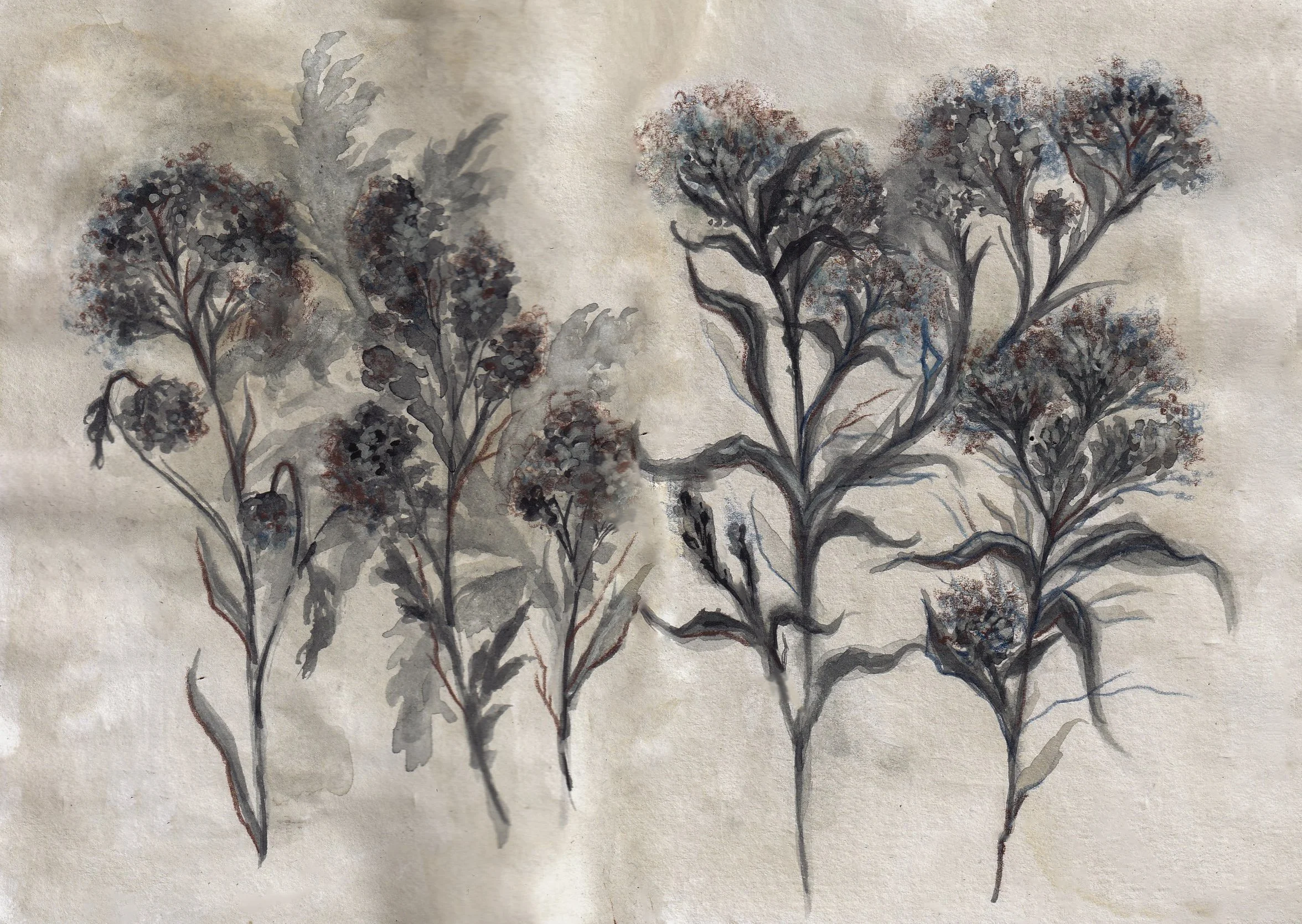 A watercolour painting of dark and muted flowers with intricate foliage on textured paper. Main colour: Payne's grey (a blue-grey). Moody, muted colours, witchy vibe.