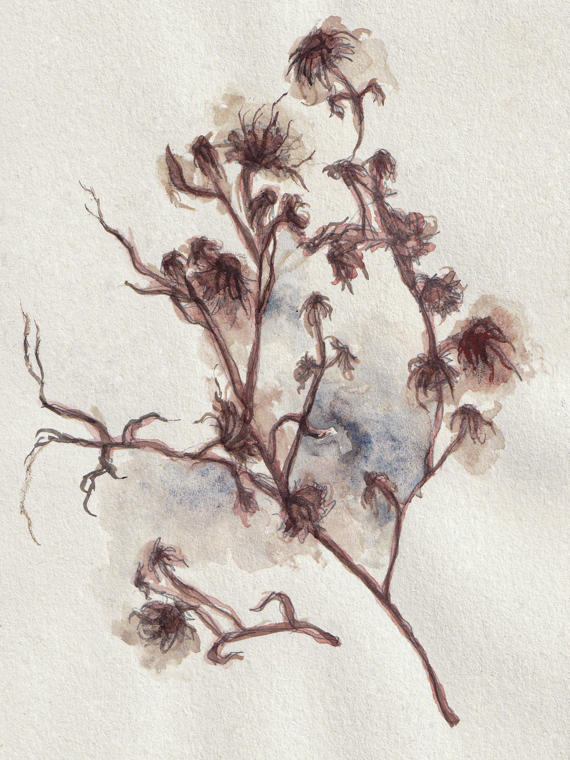 Watercolour Florals V