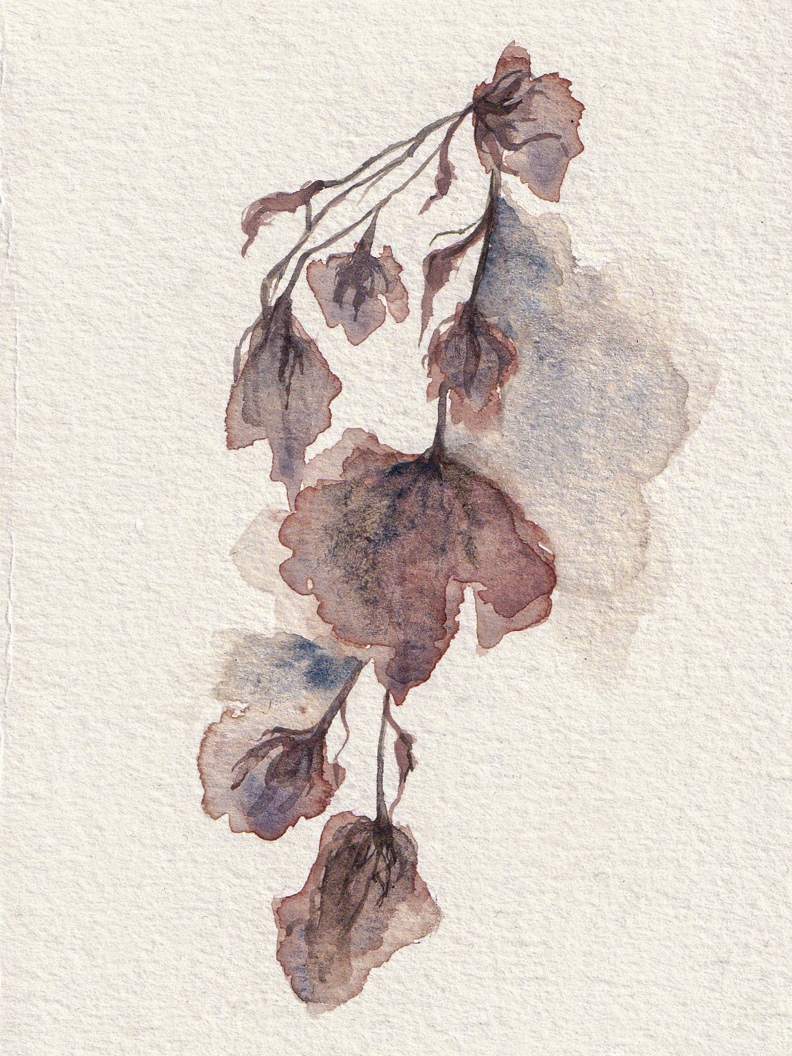 "Watercolour florals III"