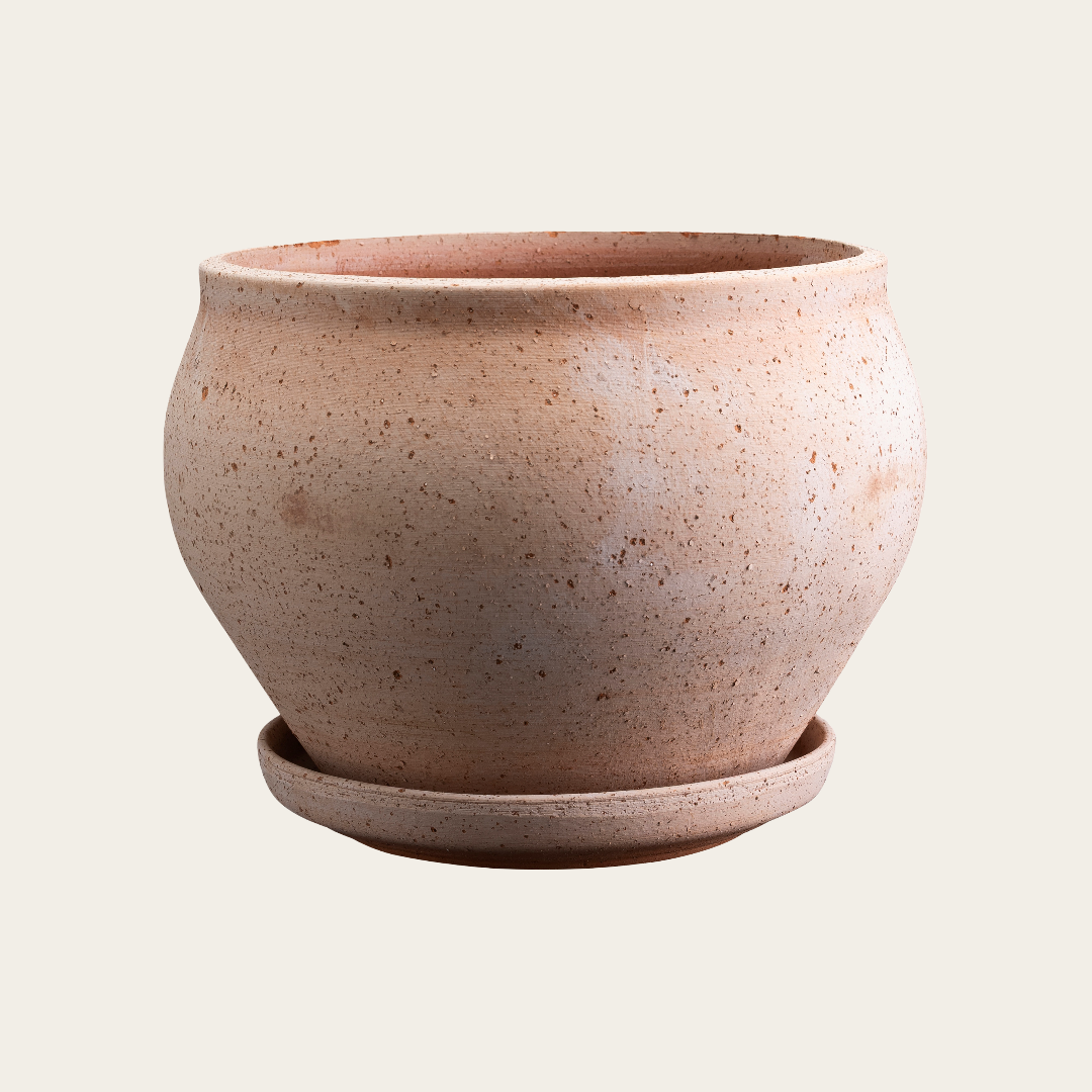 Bergs Potter Delphi raw rosa.png