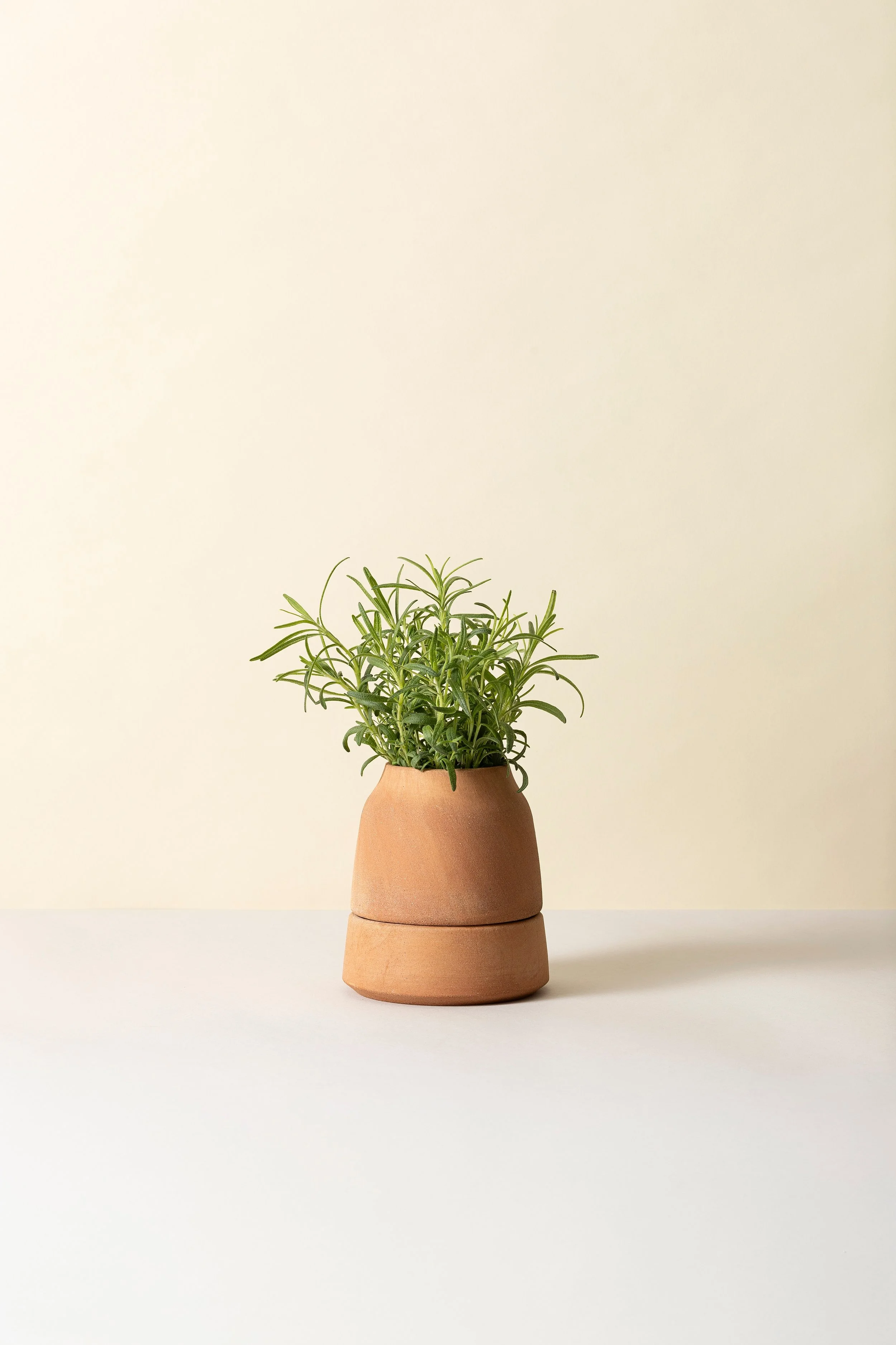 Bergs Potter Viva raw rosa 12 cm 2.jpg