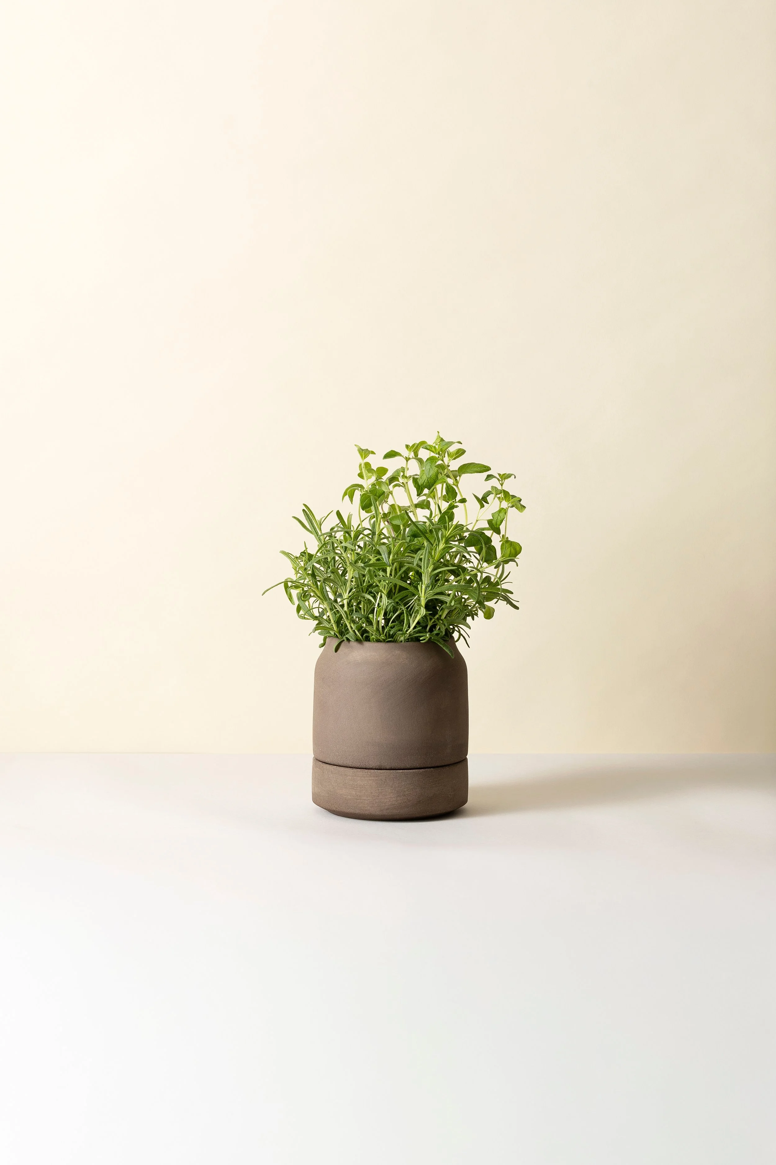 Bergs Potter Viva raw grey 14 cm 4.jpg