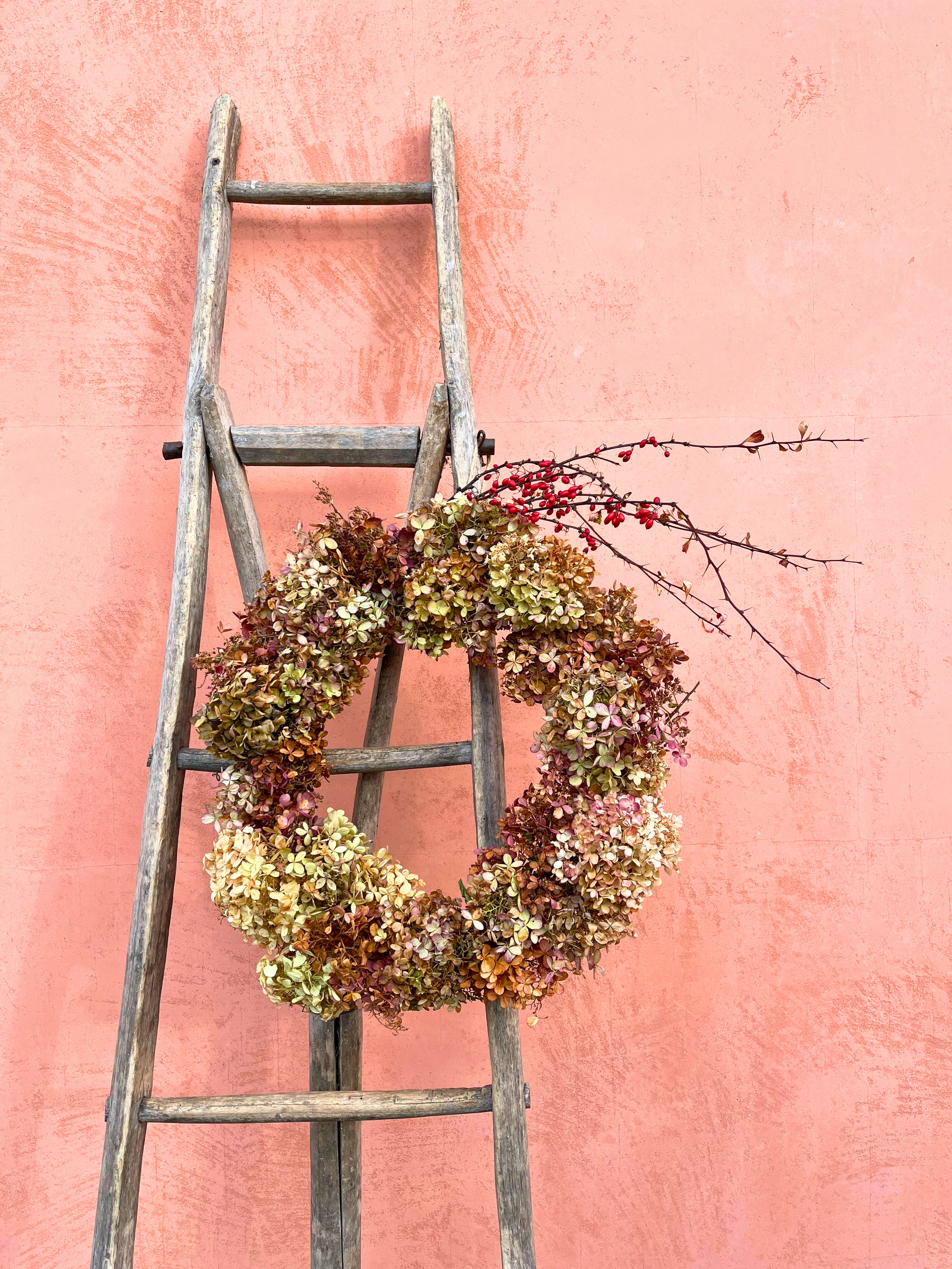 Ghirlanda ortensie (2)