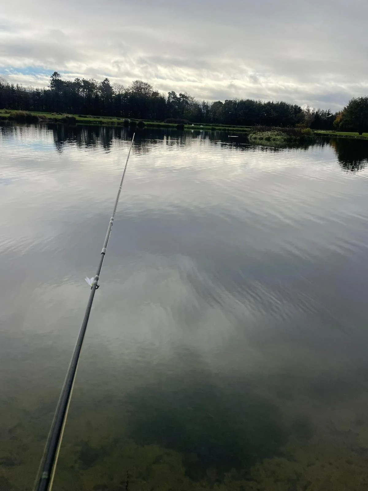 WhatsApp Image 2025-12-18 at 11.51.25 (3).jpeg