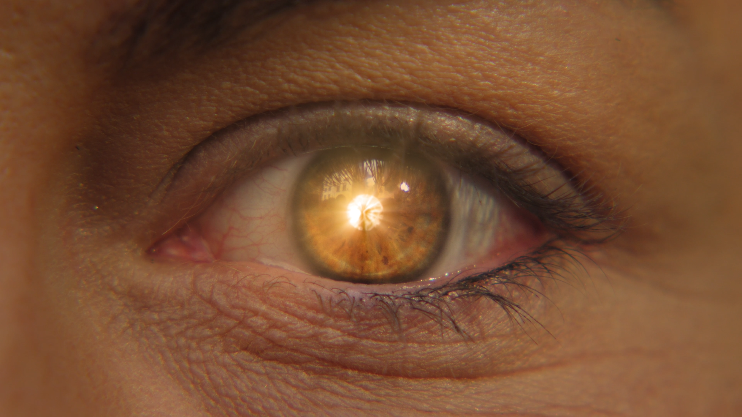 Sandvik hero fallback.PNG