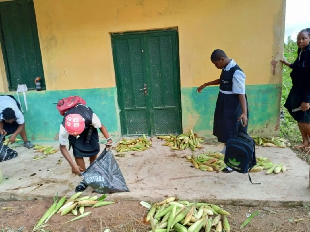 Harvest_Sharing.jpg