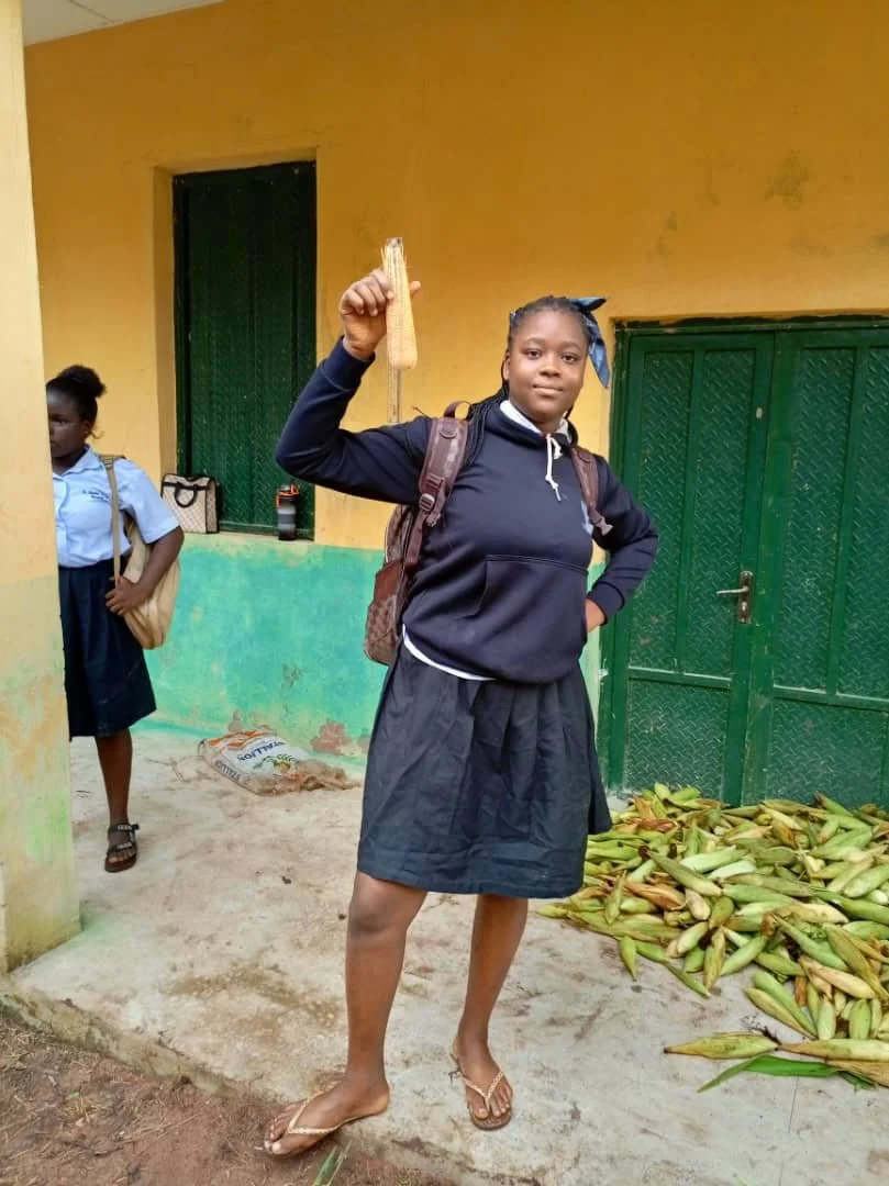 Corn_Measured3.jpg