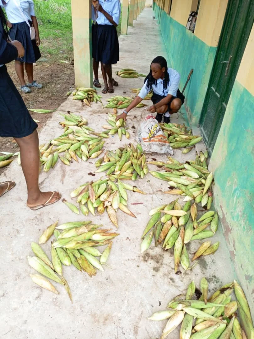 Harvest_Sharing1.jpg