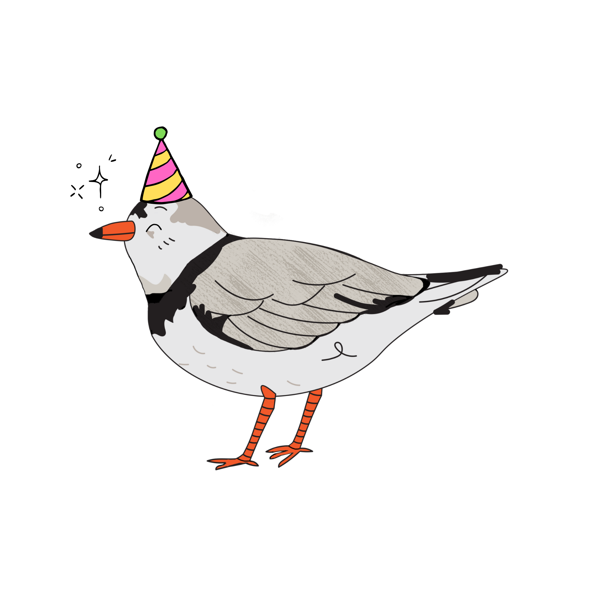 Cartoon bird wearing a pink and yellow party hat, standing upright with a content smile.