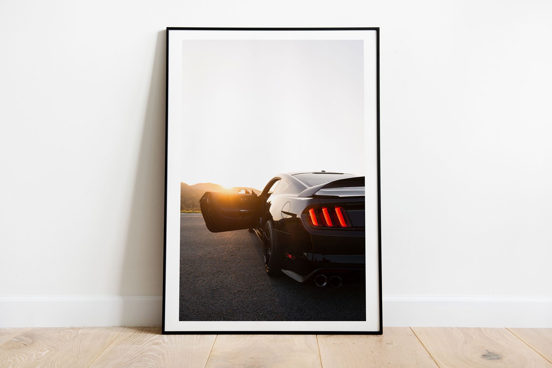 shelby-2.jpg