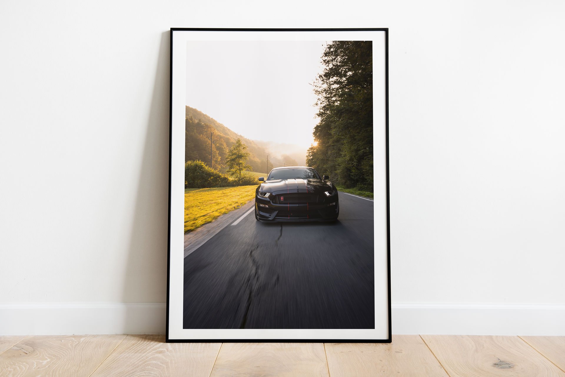 shelby-1.jpg