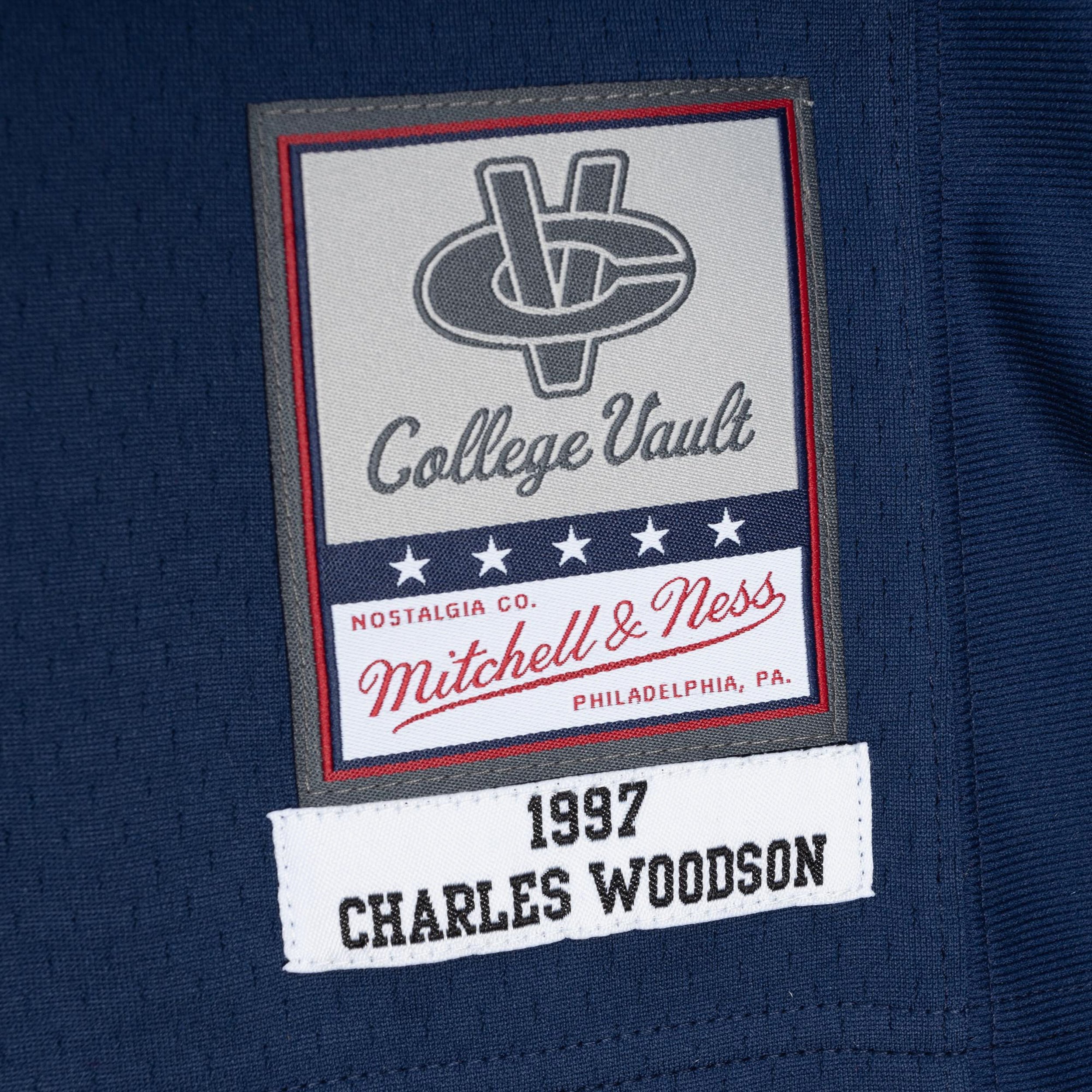 mens-charles-woodson-navy-michigan-wolverines-1997-legacy-jersey_ss5_p-5288820+pv-4+u-rtzkocz43tpjfblxdgoq+v-idpcp1s3wegpesgamong.jpg
