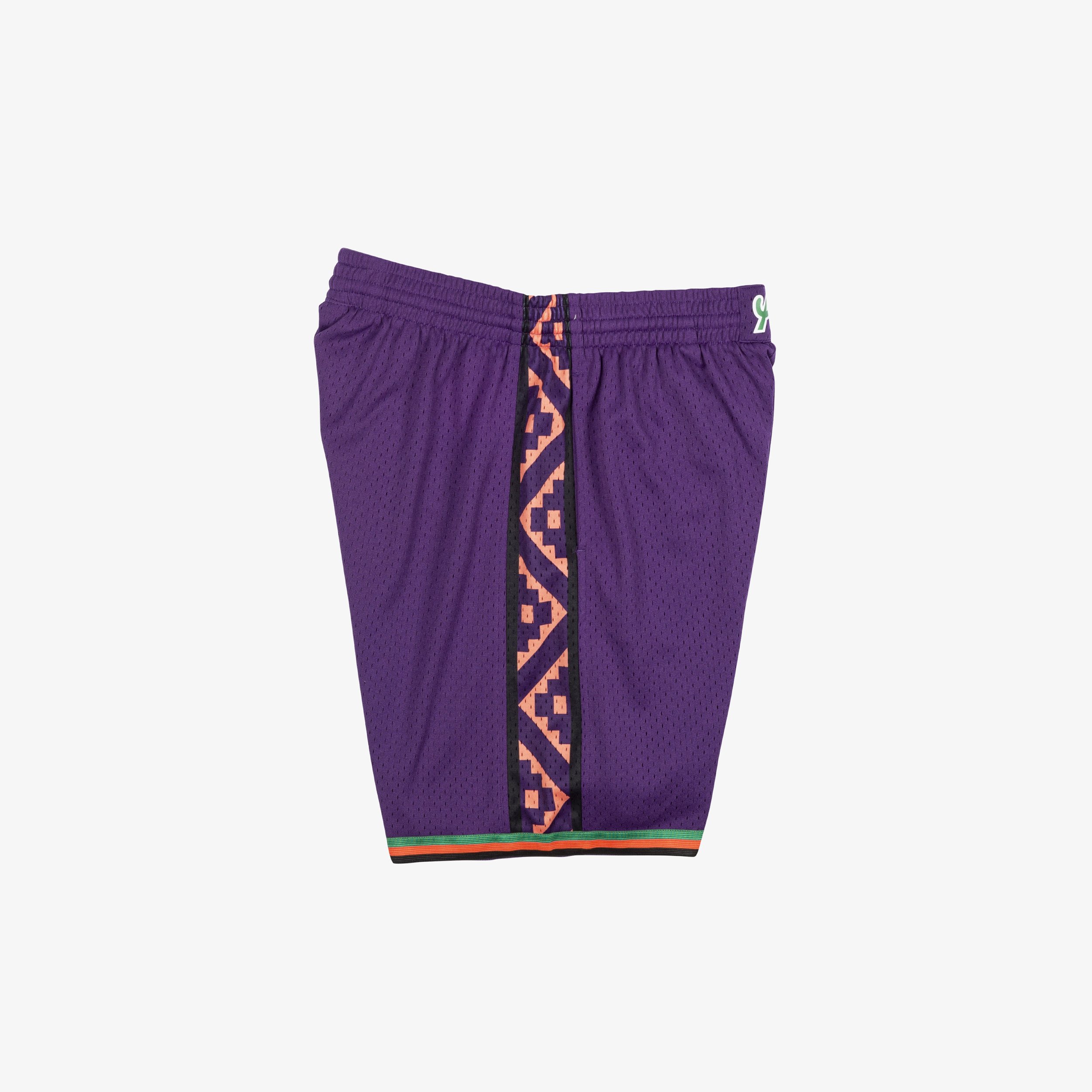 mens-purple-eastern-conference-1995-nba-all-star-game-replica-swingman-shorts_ss5_p-5289536+pv-4+u-rvza6ypmdrntrozp9kl8+v-2ppebnepygzkmgvrvkbz.jpg