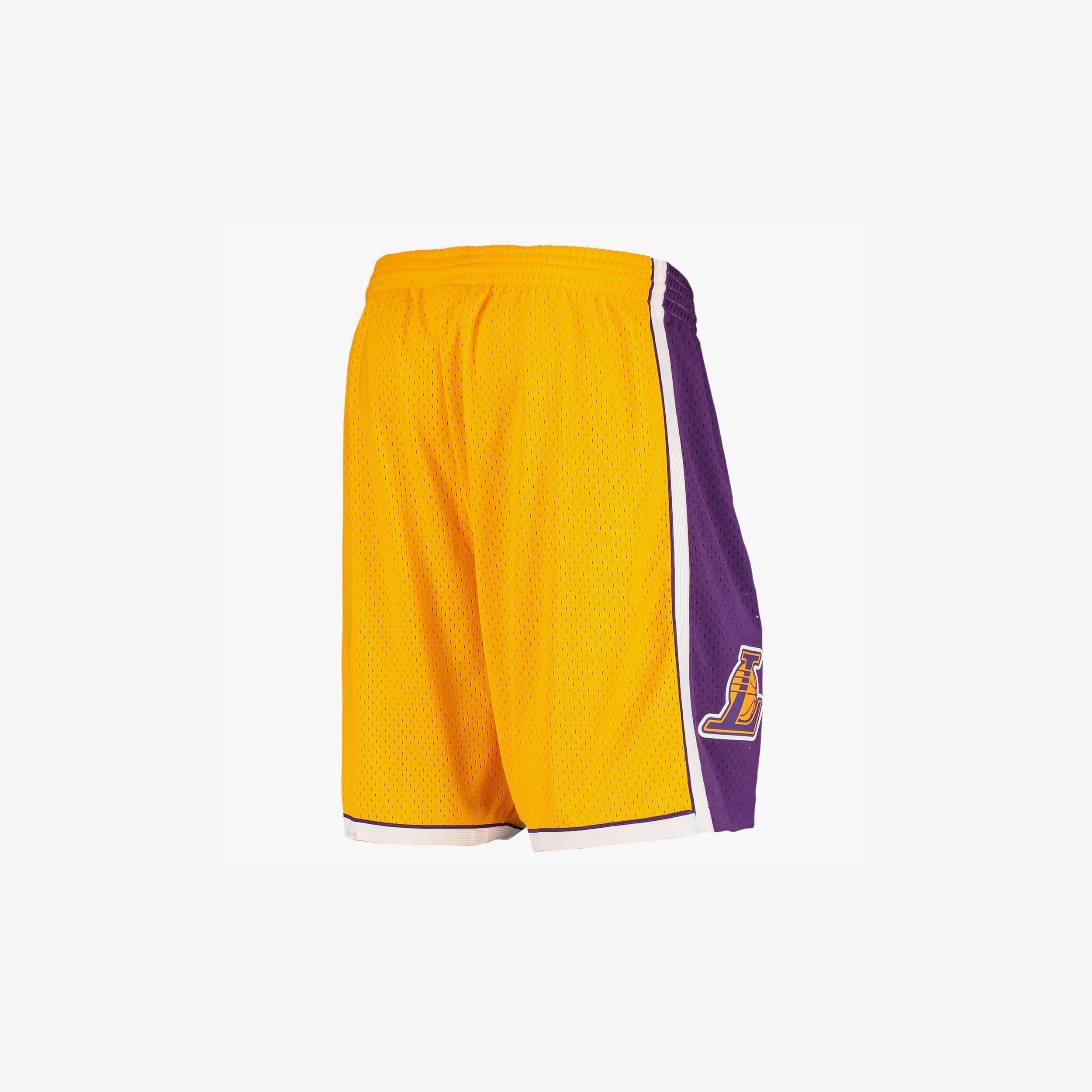 10-hardwood-classics-swingman-basketball-shorts_pi5289000_altimages_ff_5289725-61e83cb94987e5c18b46alt3_full.jpg