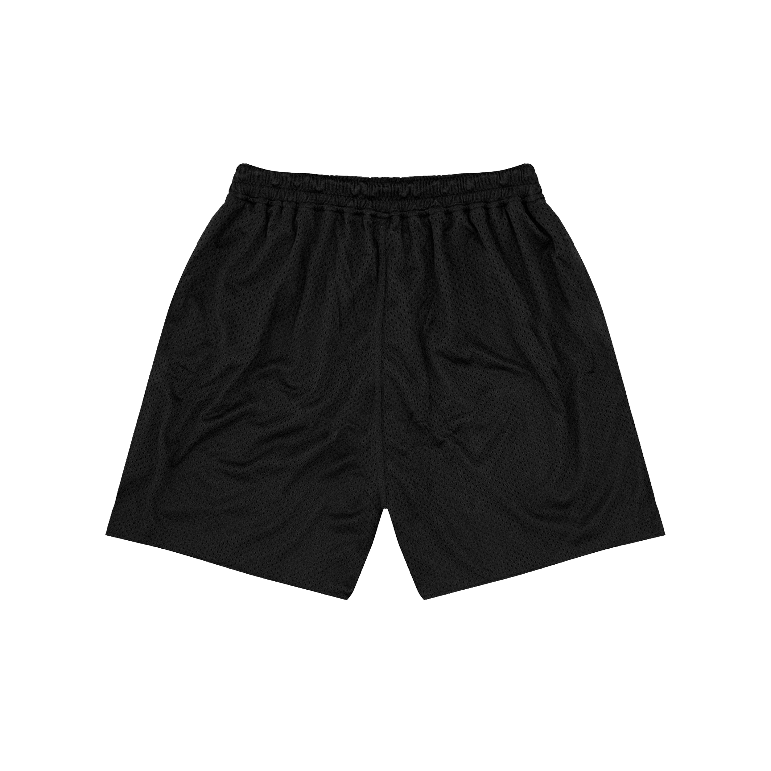 2TGITG_MESH_SHORT_BLK_REAR_.png
