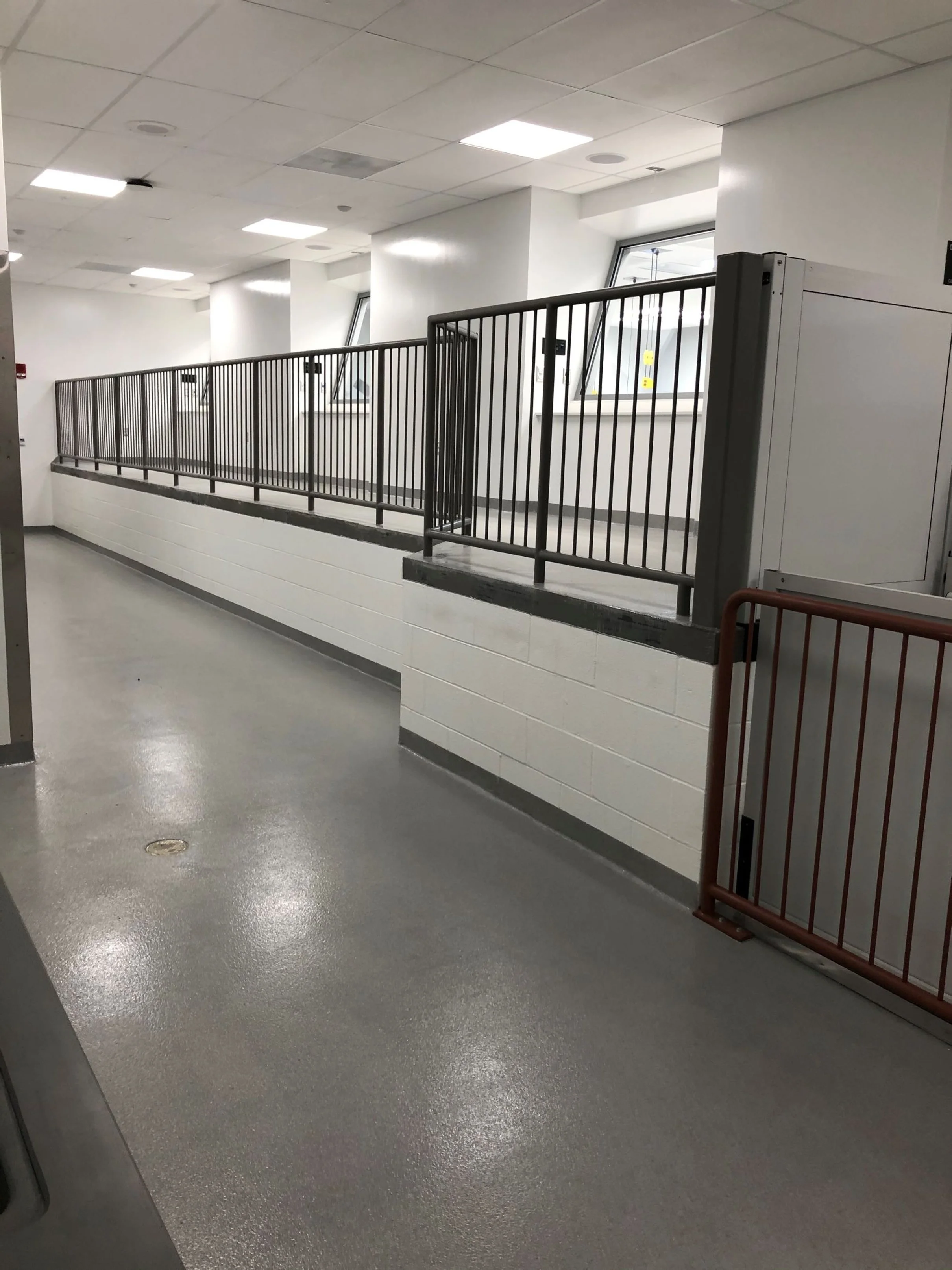 FCCCoronerfloors&walls12.jpg