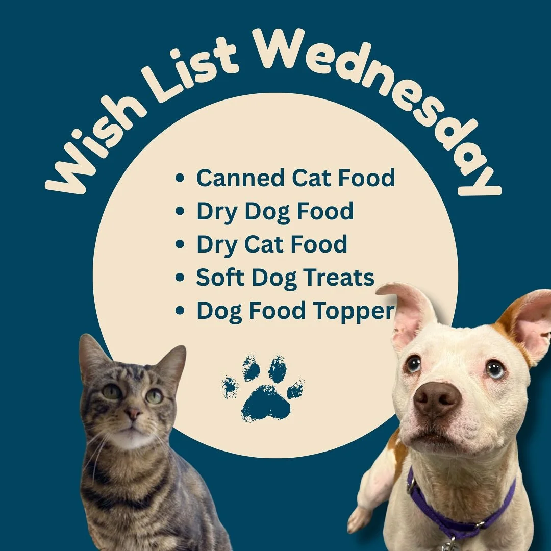 Helping Our Local Shelter
As many of you know, Smithers Home Maintenance sponsors a kennel at the Toledo Humane Society (@toledohumane). It’s important to us to support the work they’re doing, and each week they share what they need most