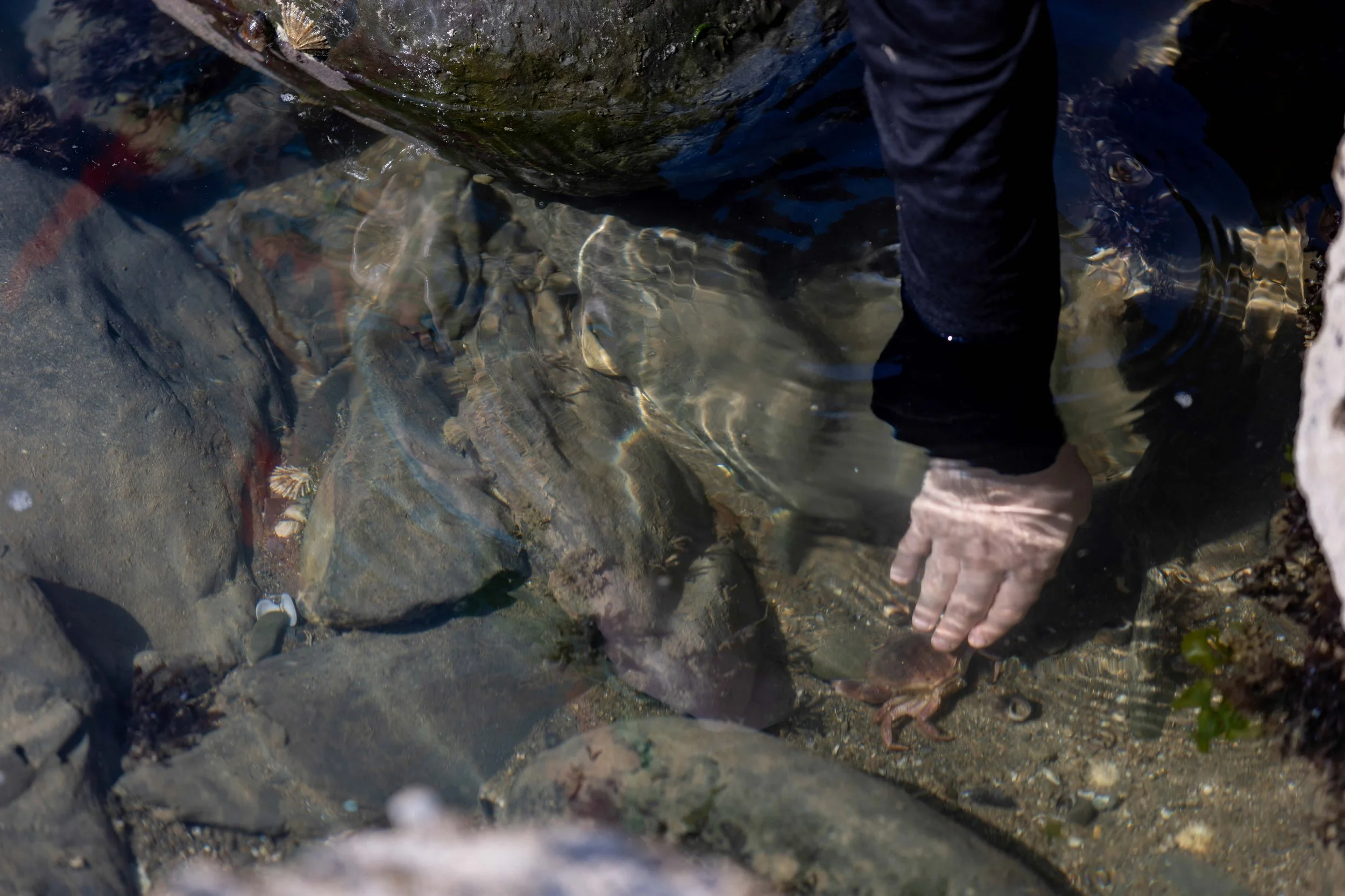 TOBT Aberdovey Aug 2023-137.jpg