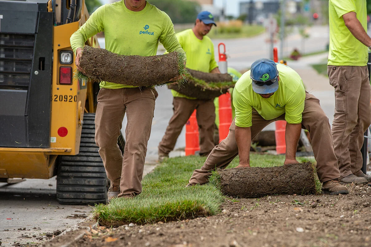 LandscapeConstruction_web.jpg