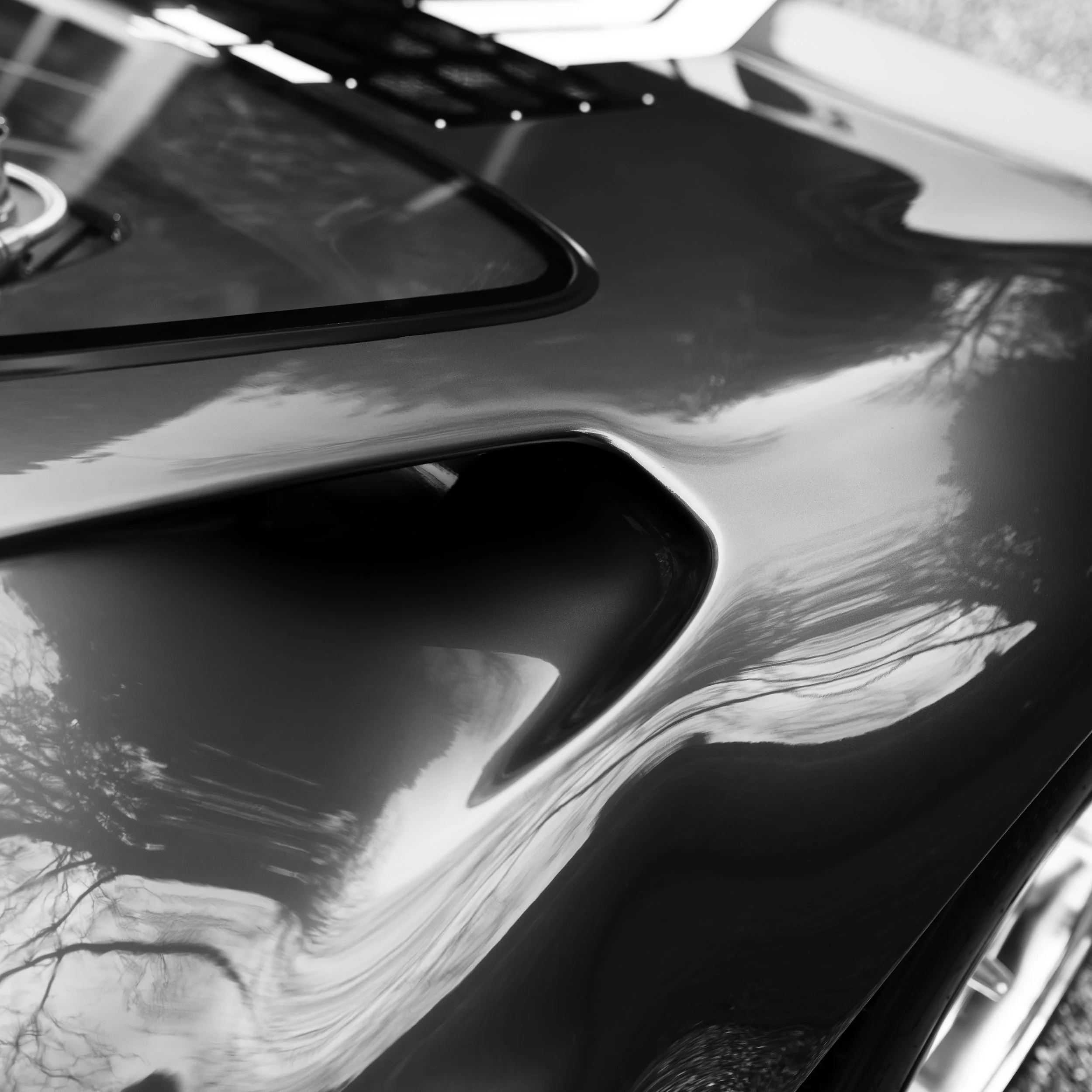 DSC00071Ford GT.jpg