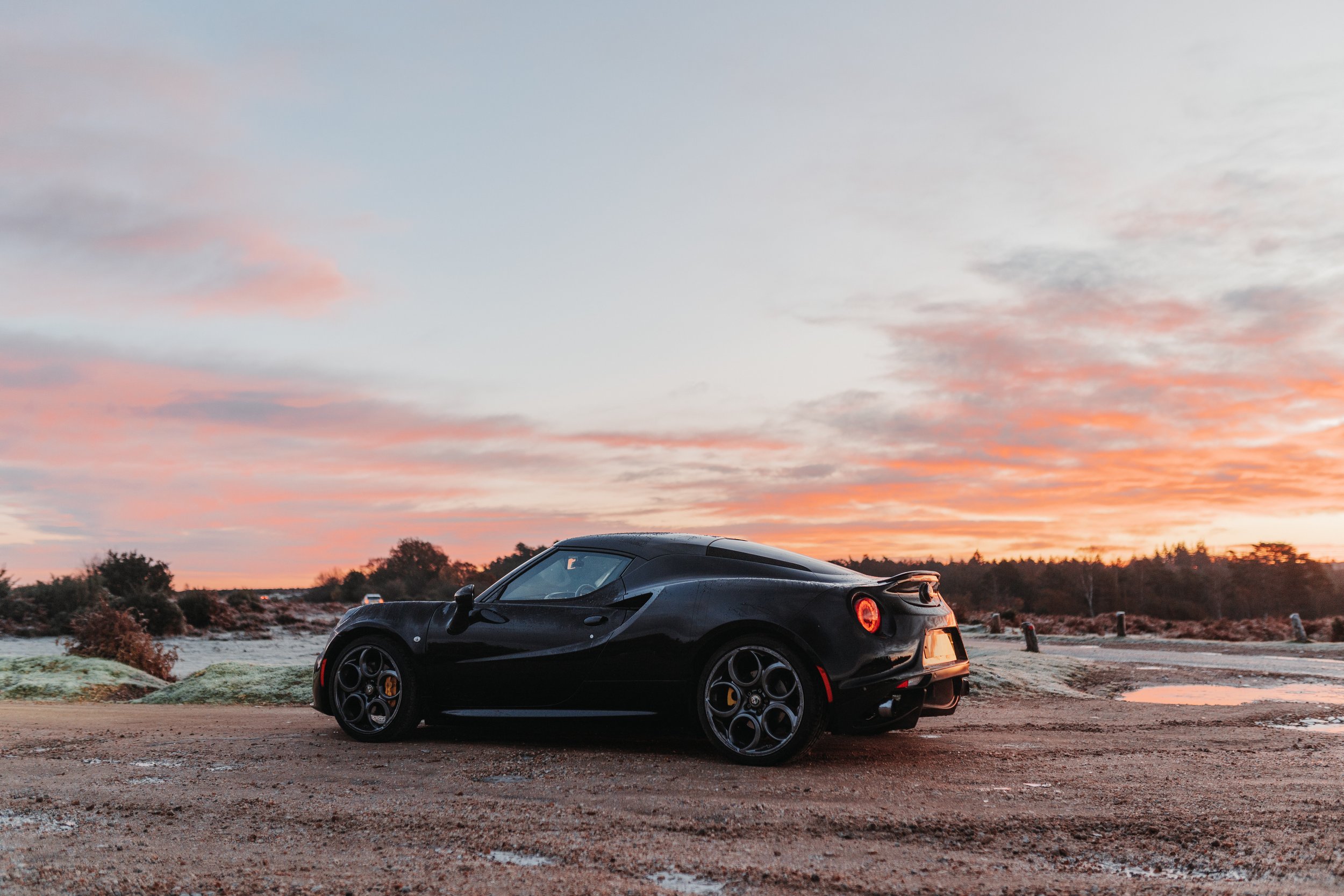 _DSC0201New Forest Alpha-3.jpg