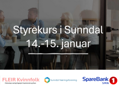Styrekurs