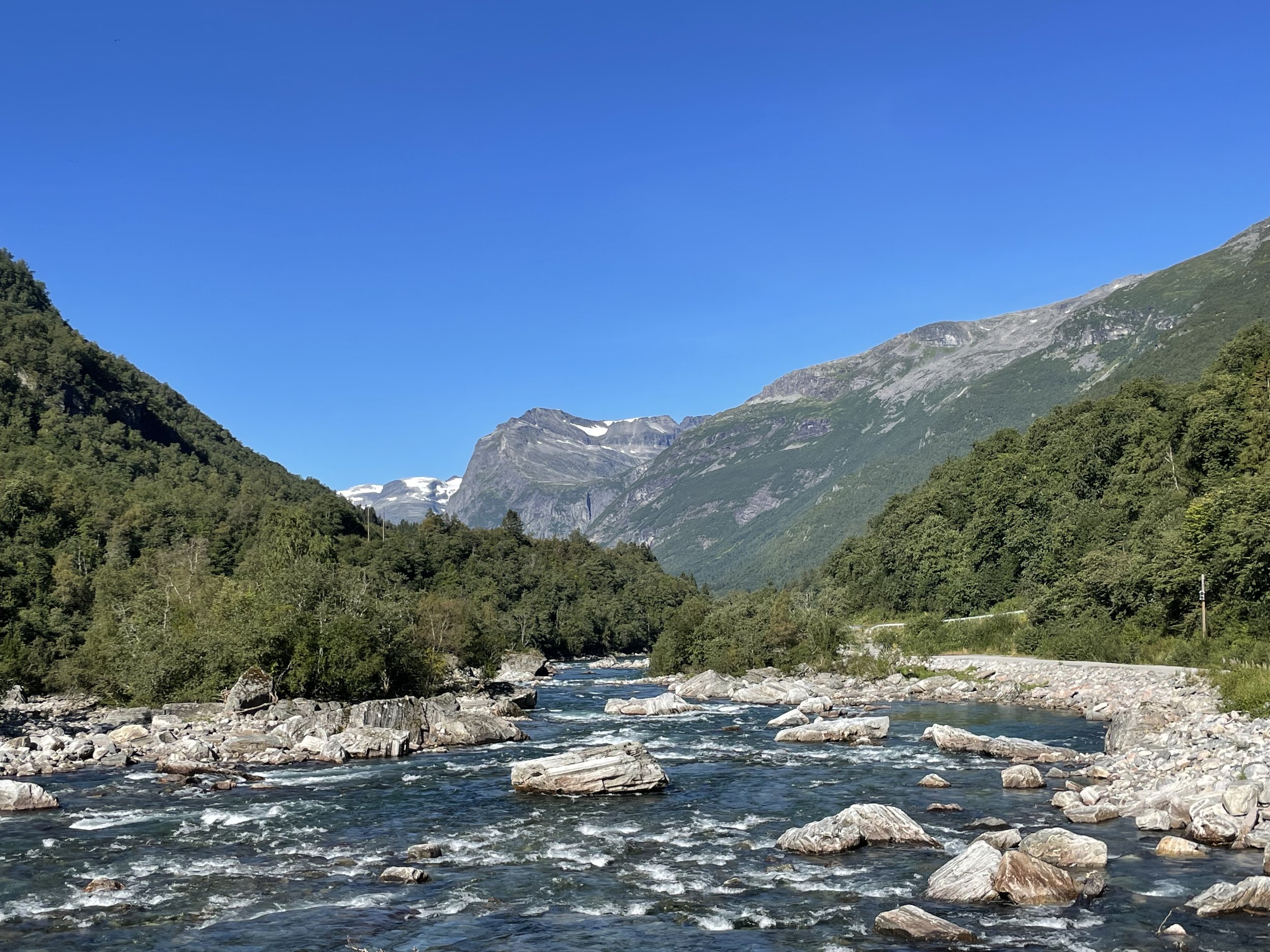 Driva som verdiskaper - forprosjekt