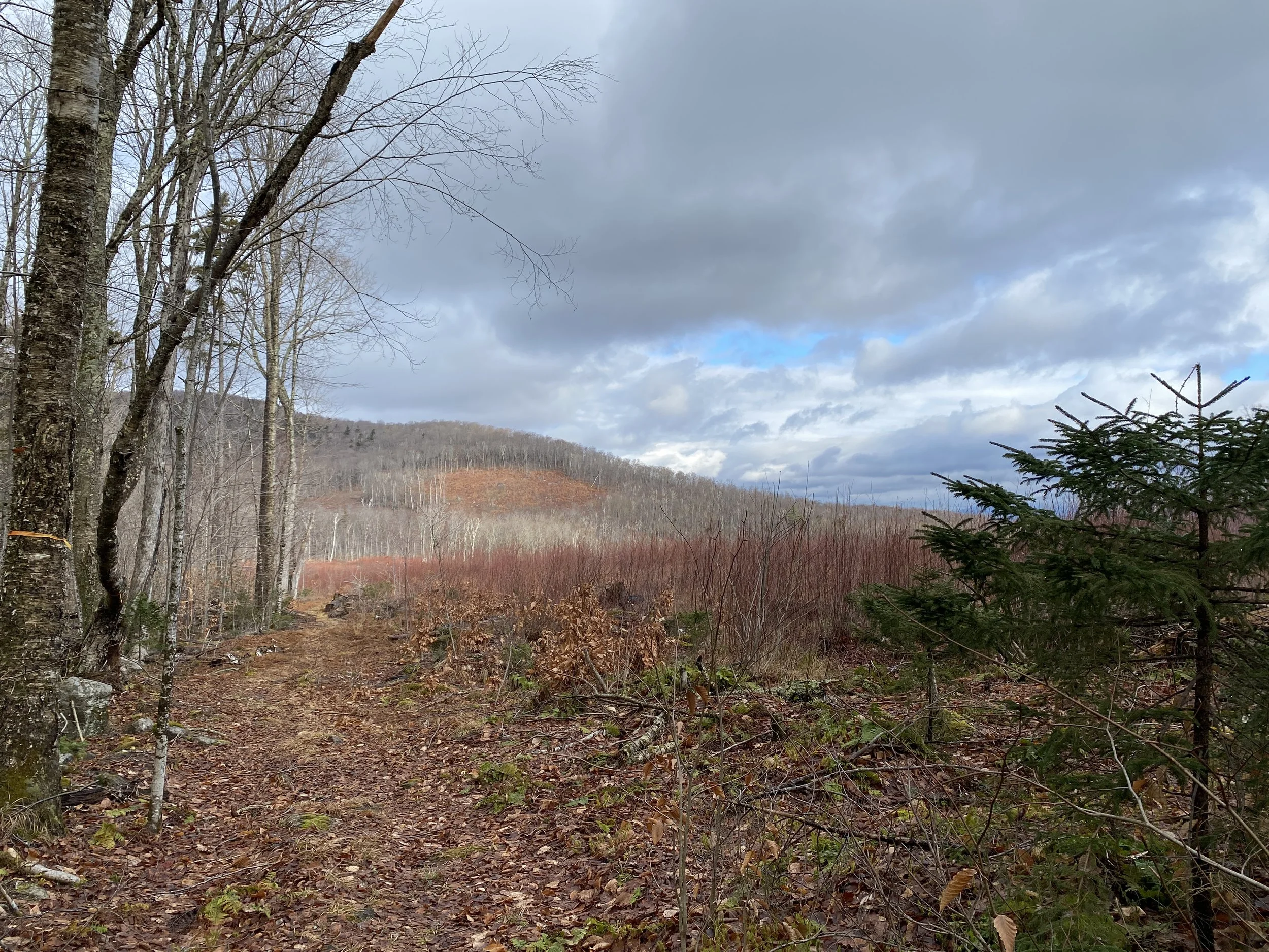 White Mountain Guide Day 87