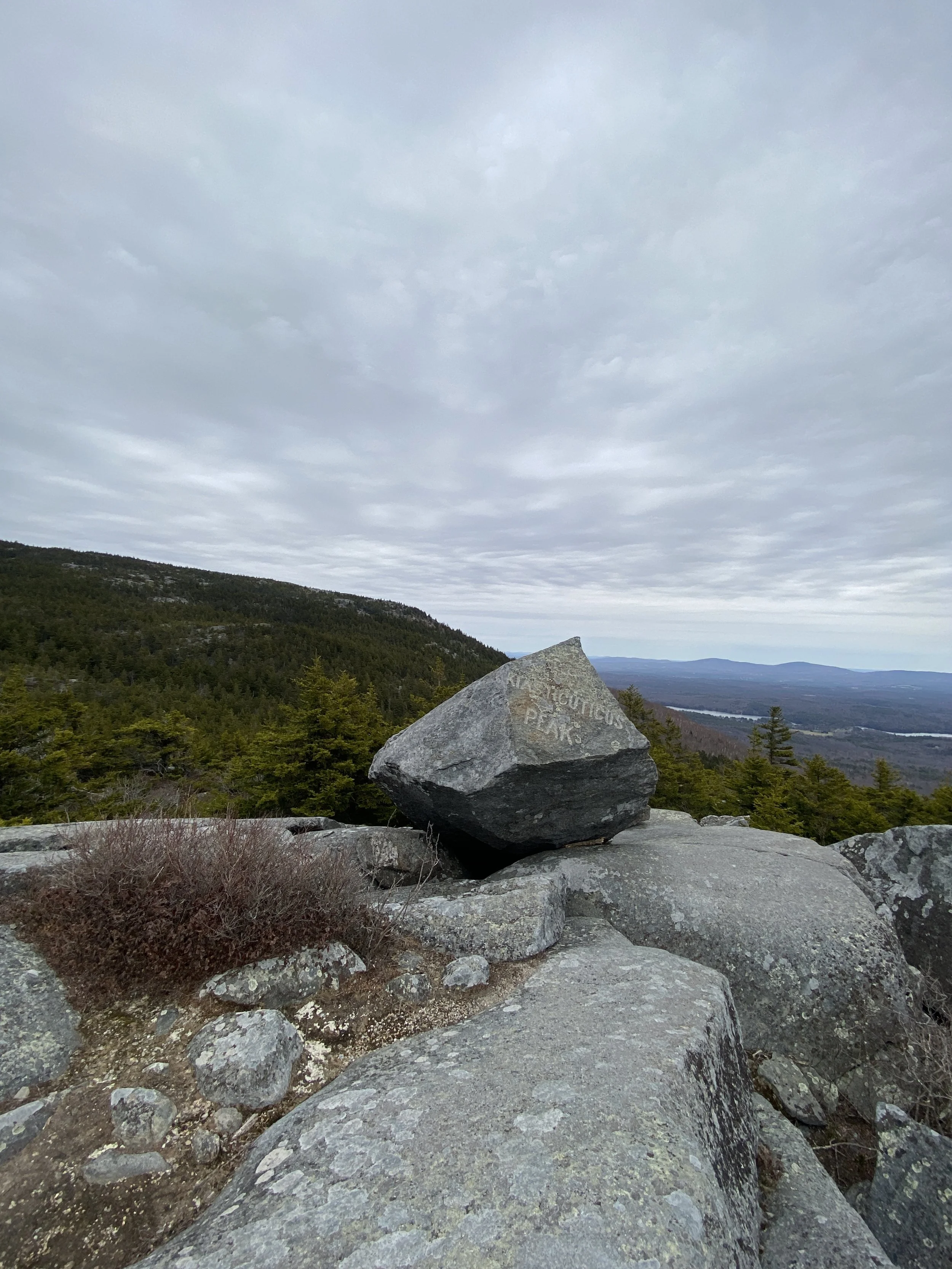 IMG_5727.JPG
