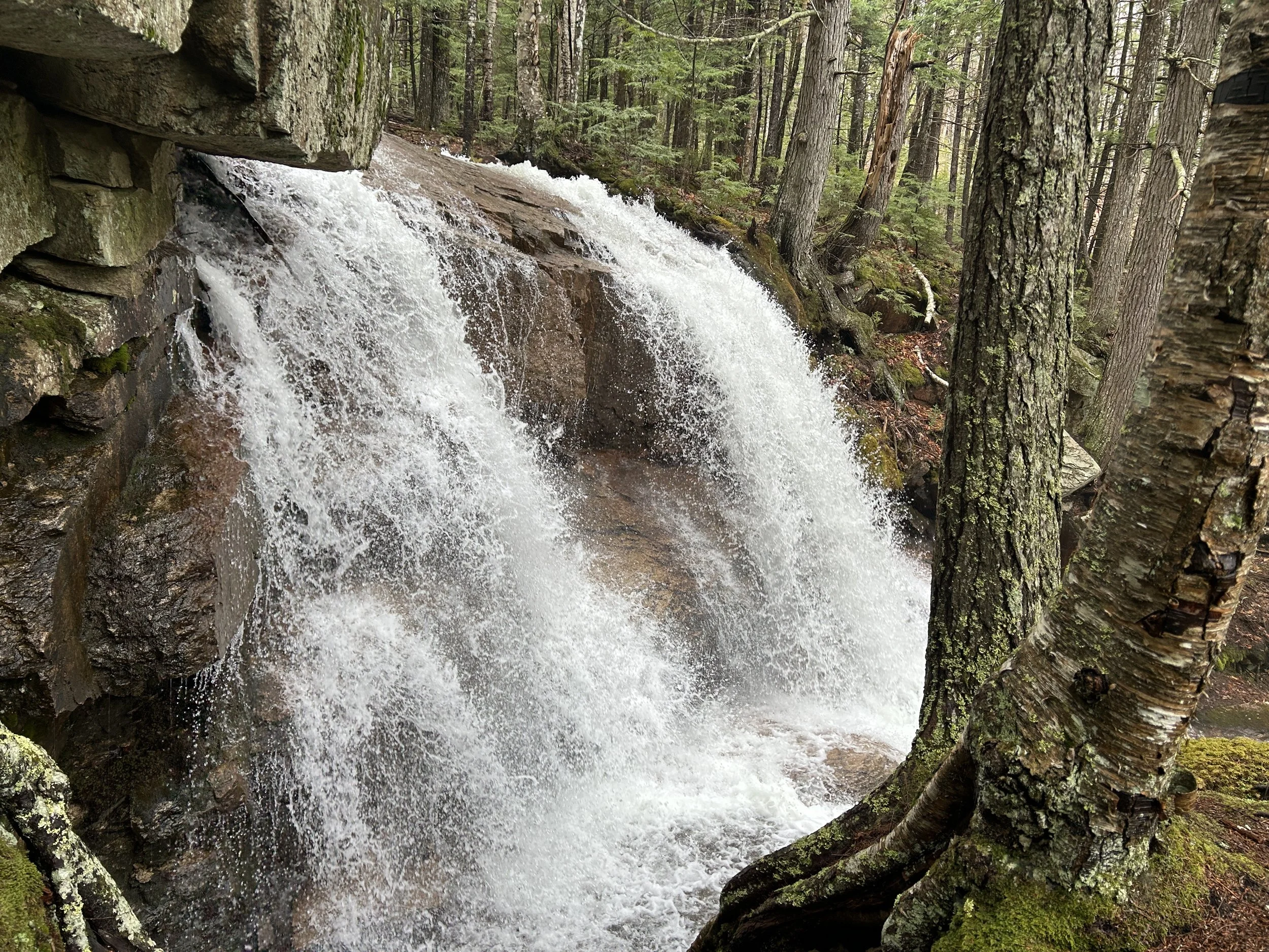 IMG_7639.JPG