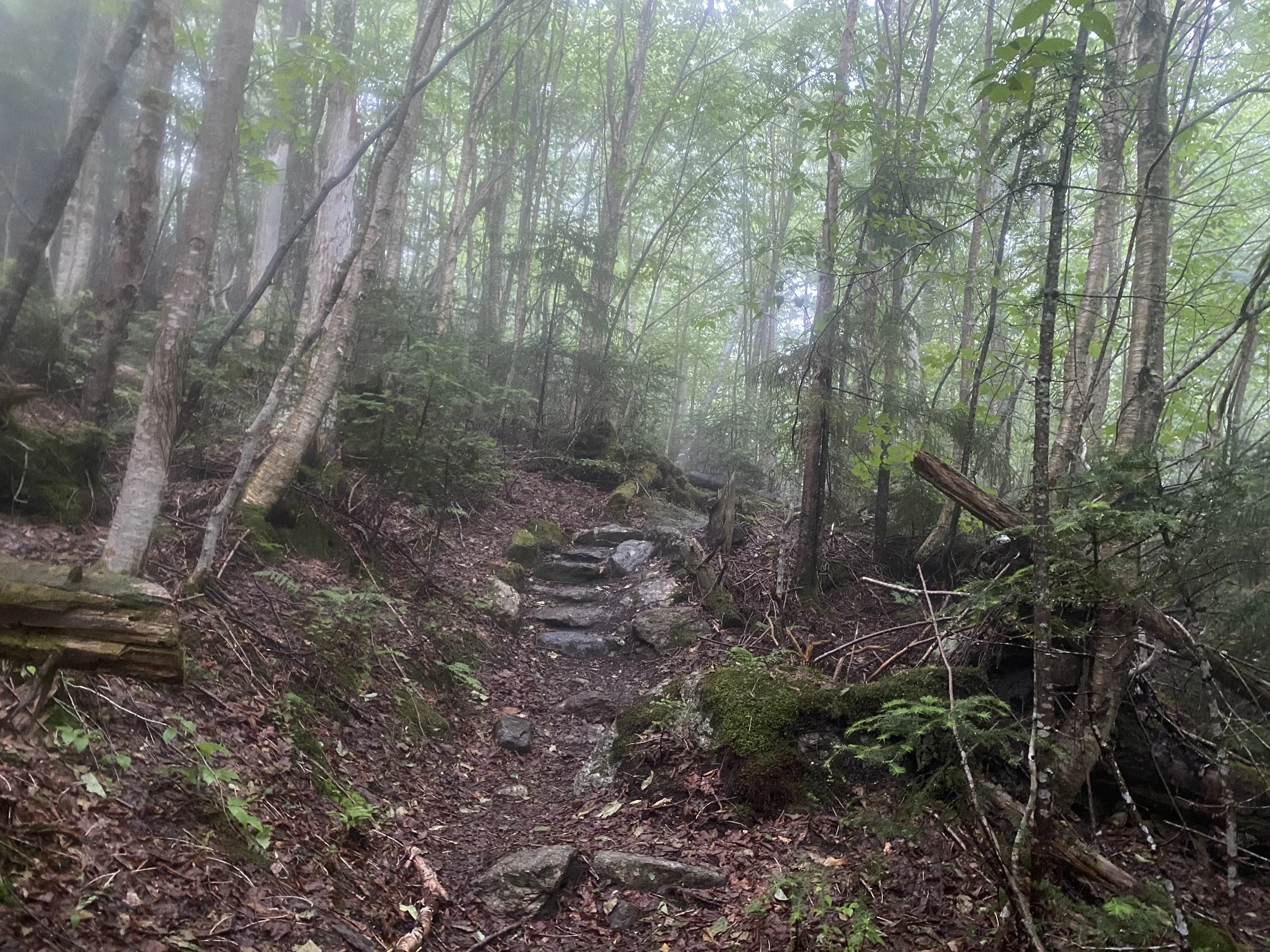 White Mountain Guide Day Six